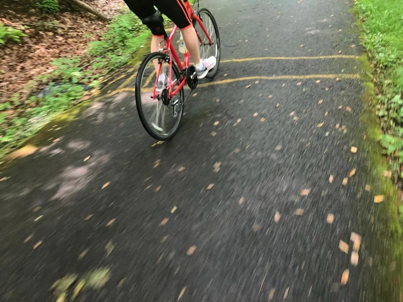 Sports in Mon Petit Cottage - B&B and Guest House in Bunclody