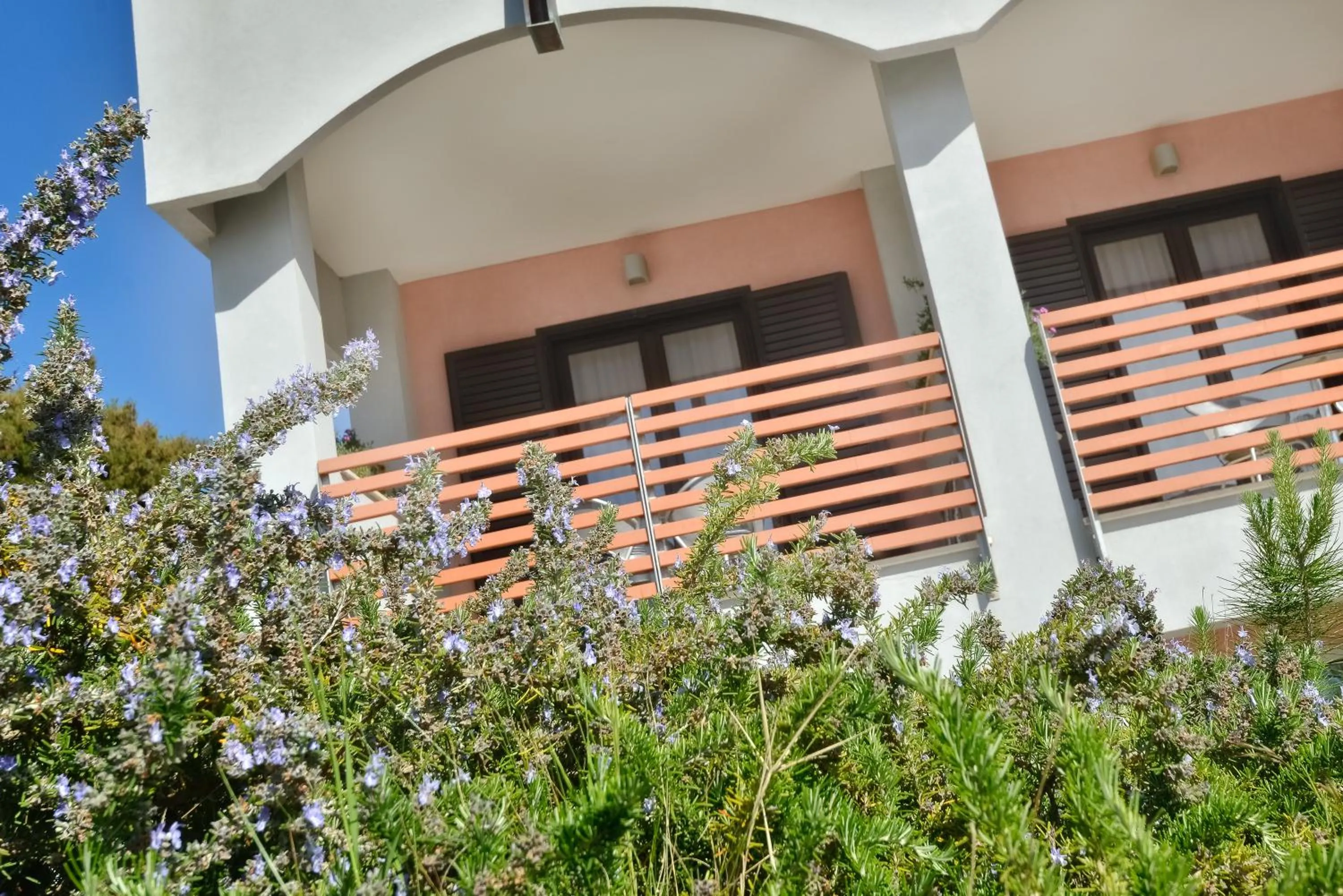 Garden in Hotel Mareluna