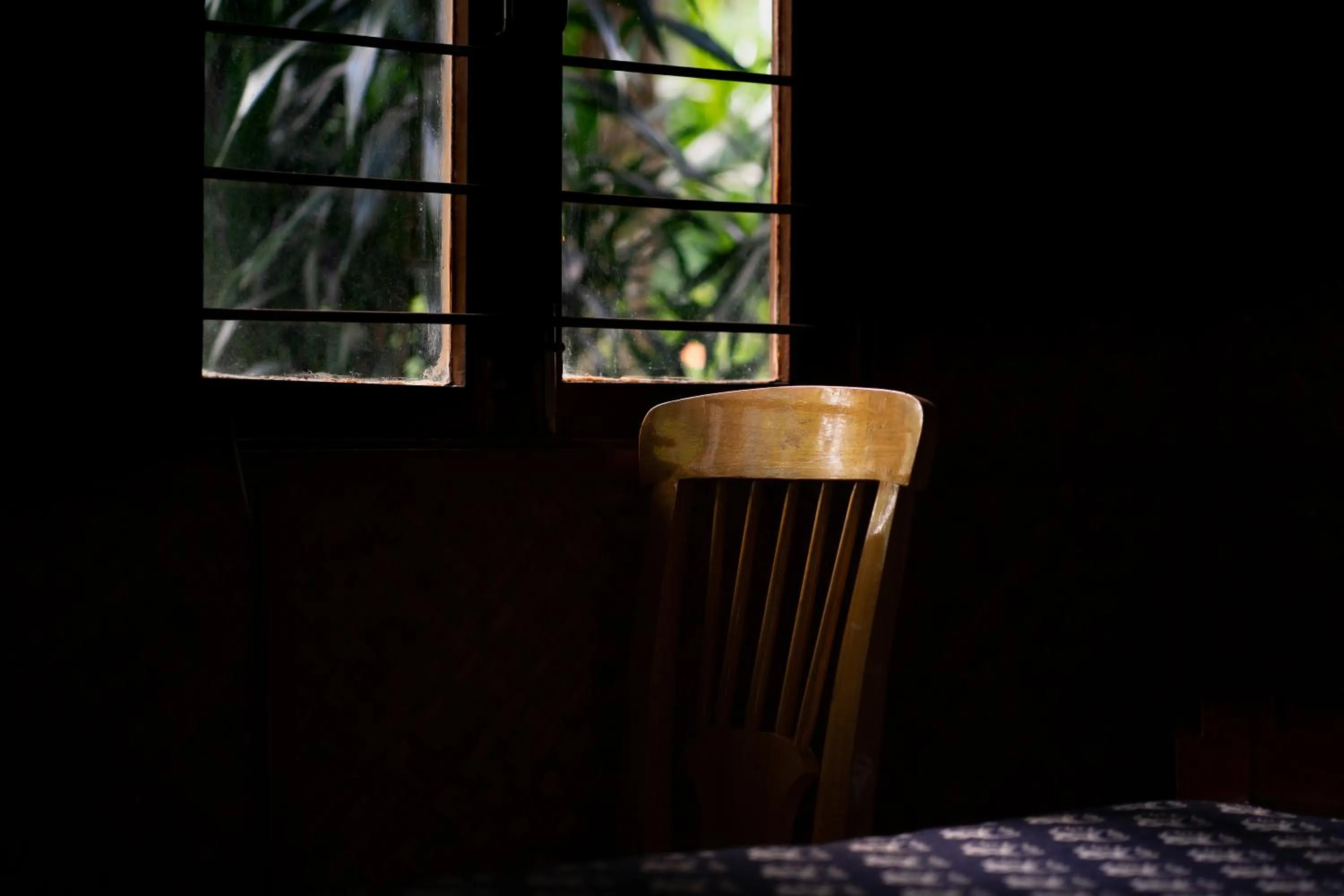 Seating area in Palm Grove Eco Resort