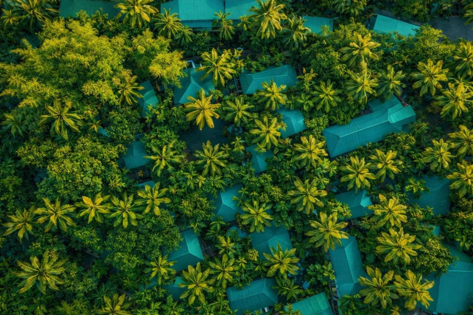 Palm Grove Eco Resort