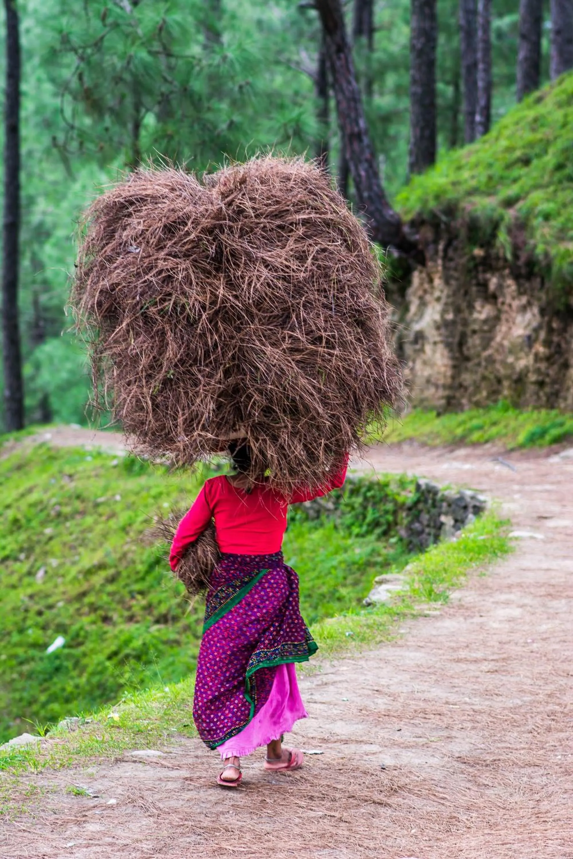 group of guests in Binsar Eco Resort, Binsar - Uttarakhand