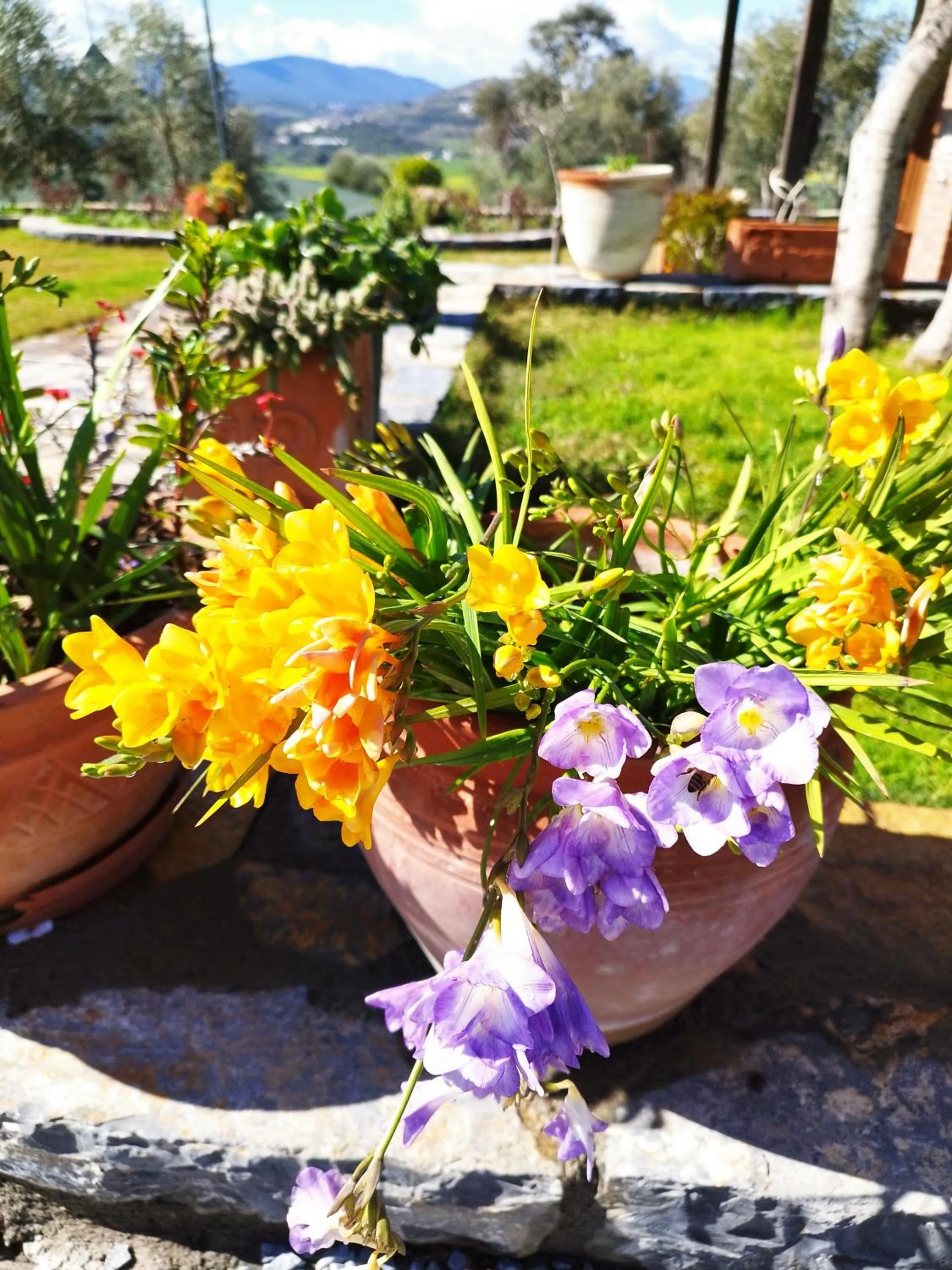 Olive Garden Retreat