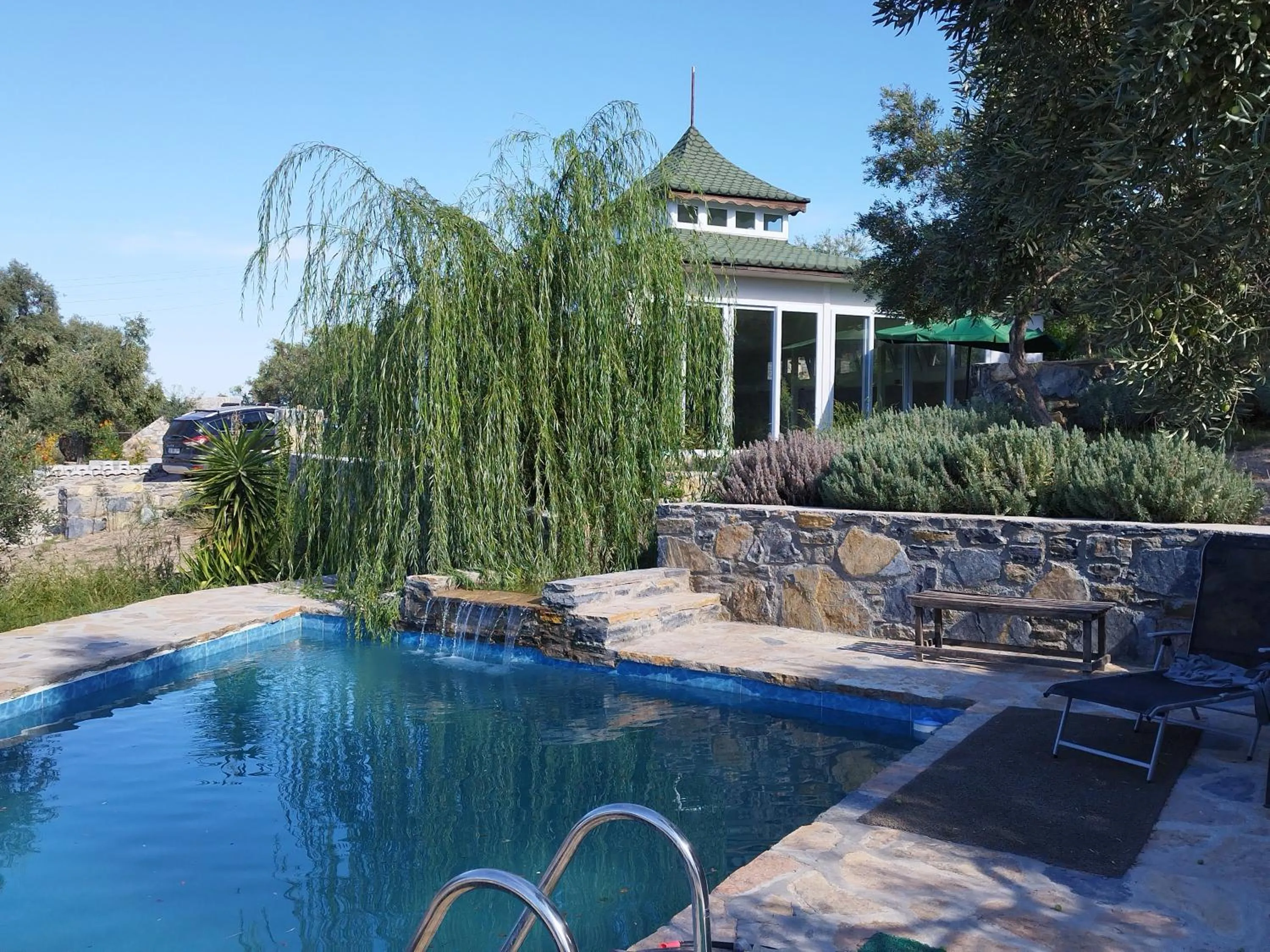 Swimming pool in Olive Garden Retreat