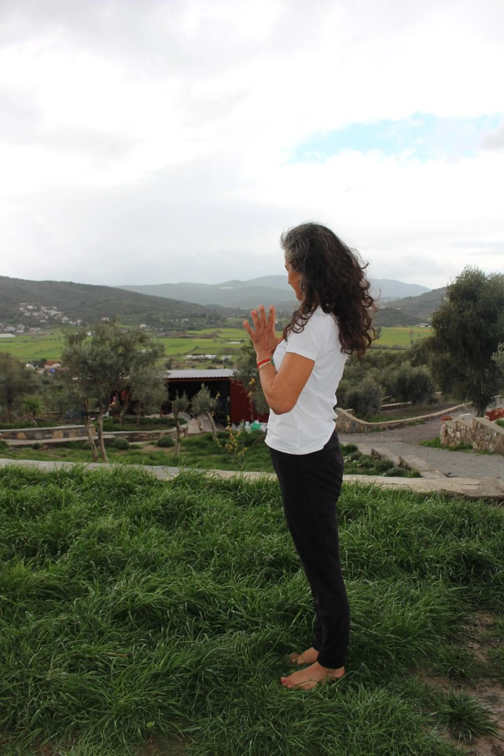 Natural landscape in Olive Garden Retreat