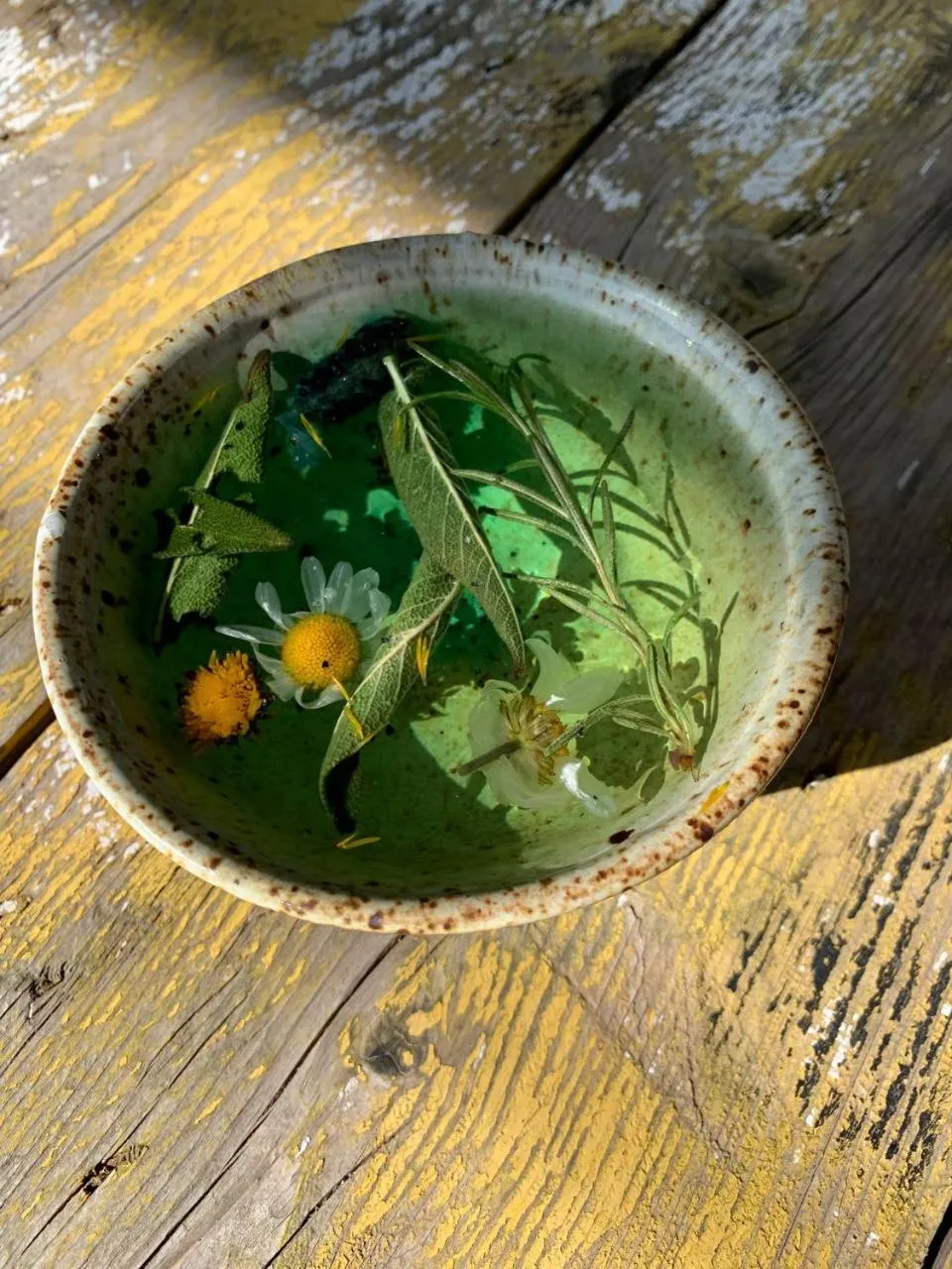 Olive Garden Retreat