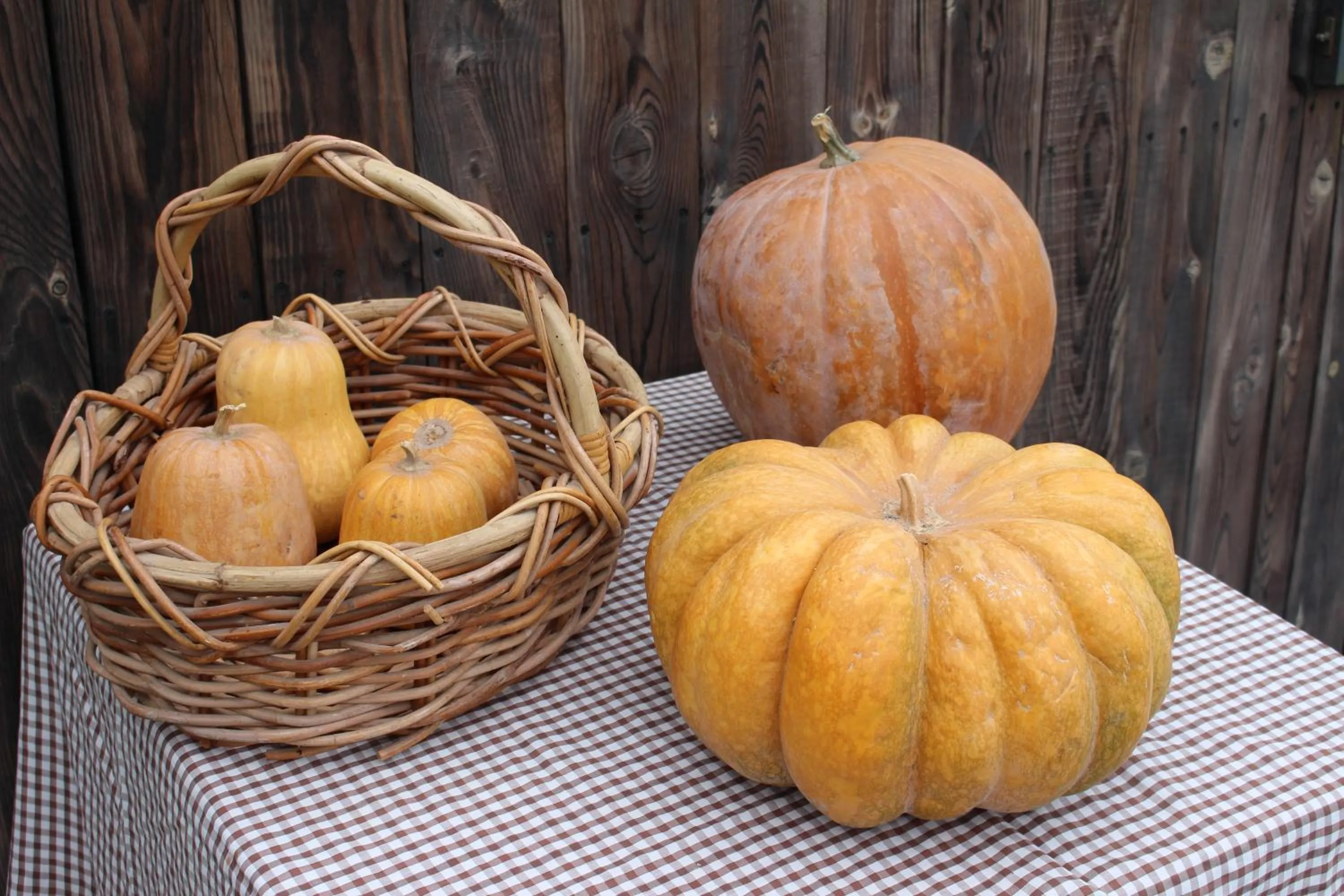 Olive Garden Retreat