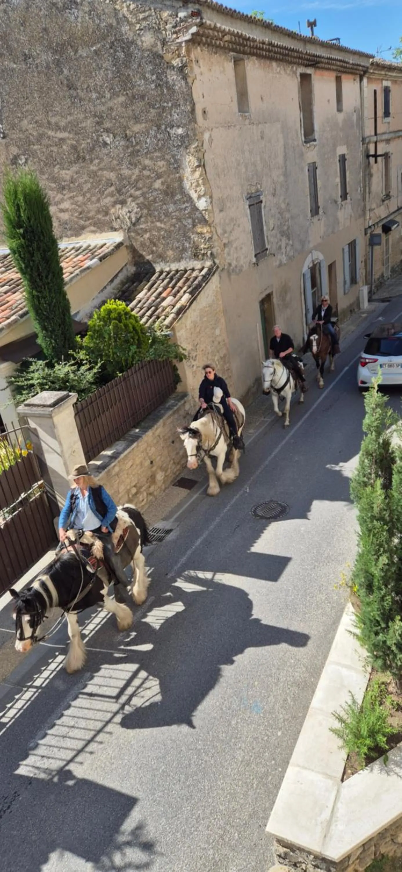 View (from property/room) in Chambres d'Hôtes Le relais des marmottes en Luberon