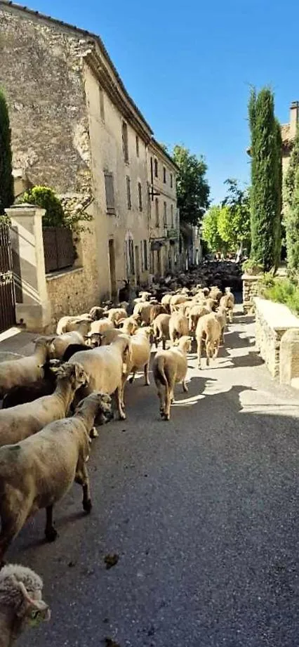 Street view in Chambres d'Hôtes Le relais des marmottes en Luberon