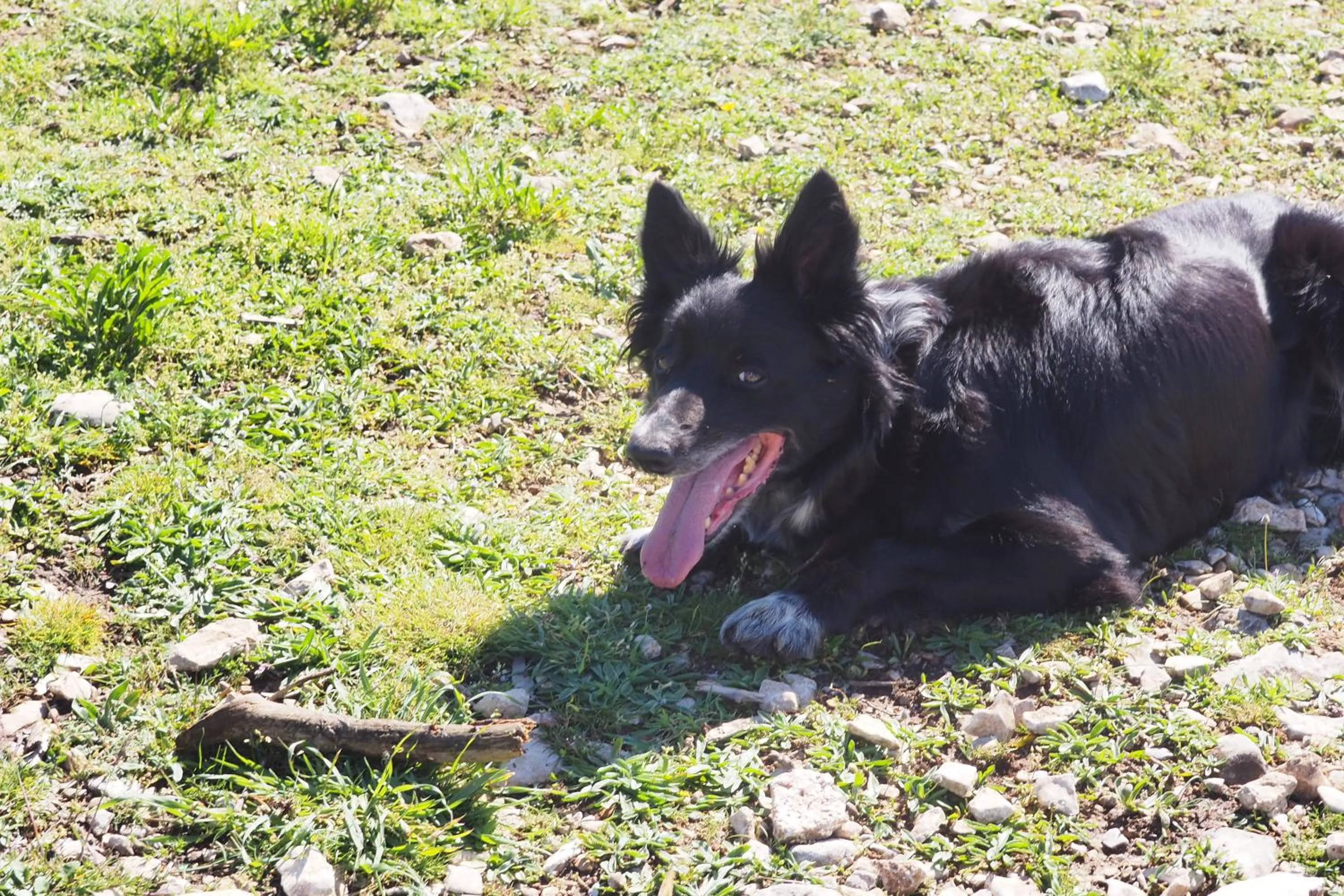 Chambres d'Hôtes Le relais des marmottes en Luberon