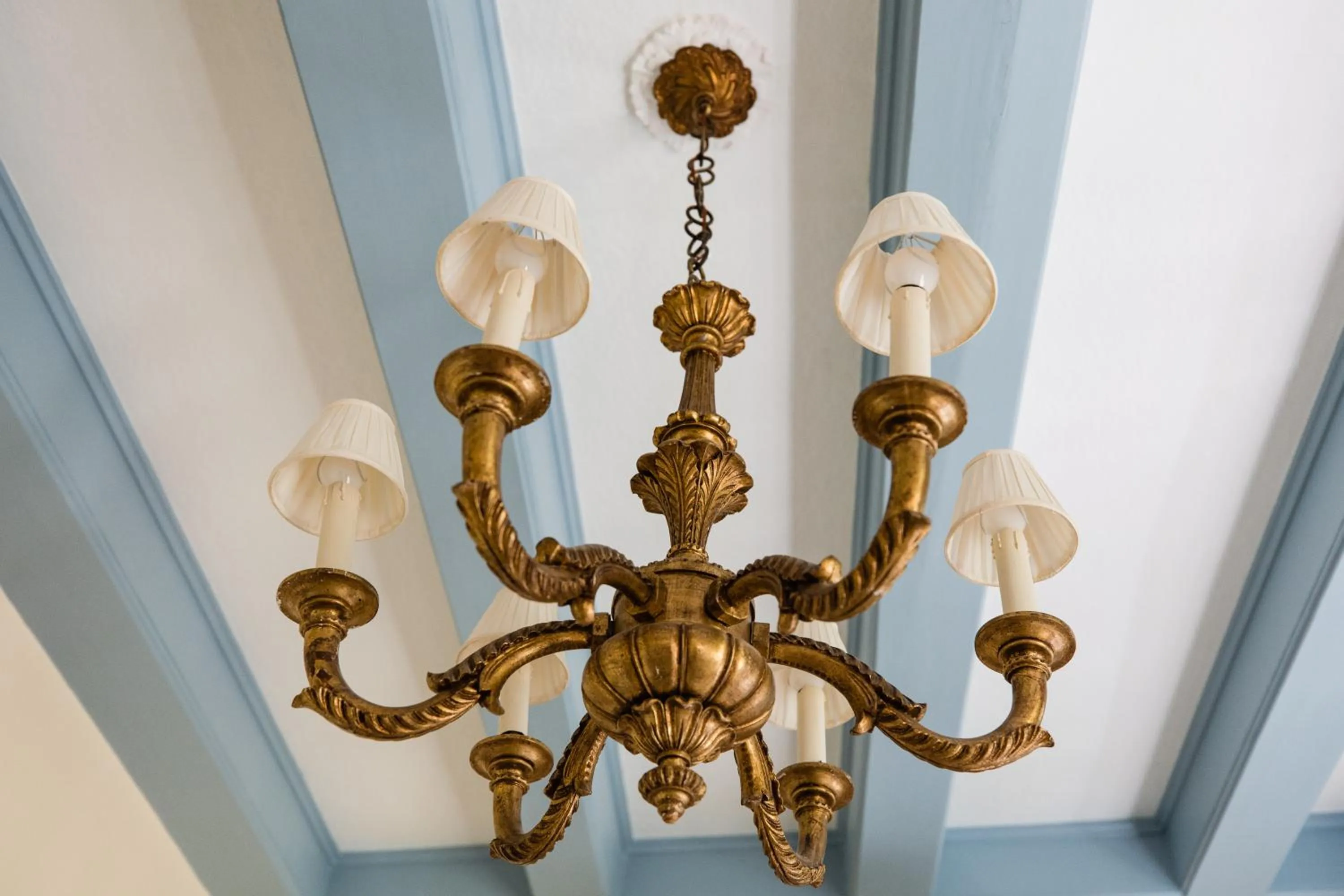 Decorative detail in Fortuna Spinoza