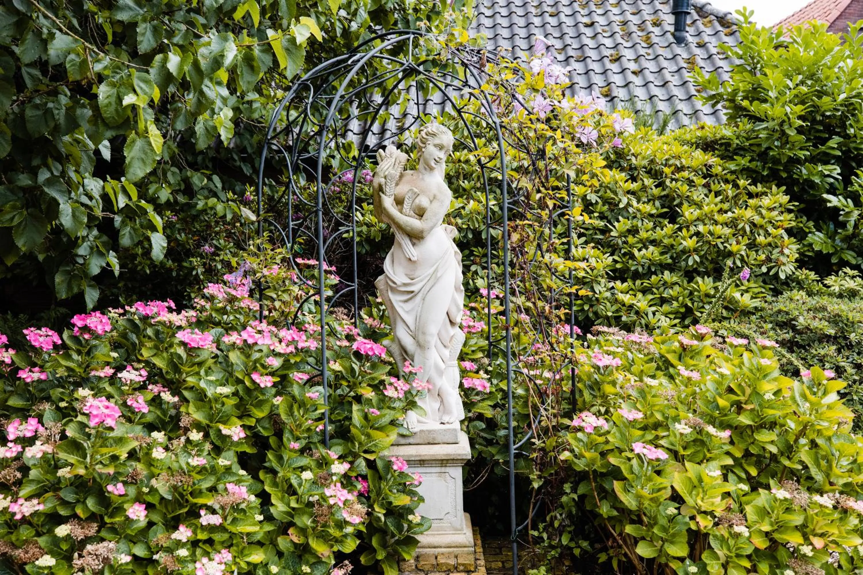 Day in Fortuna Spinoza