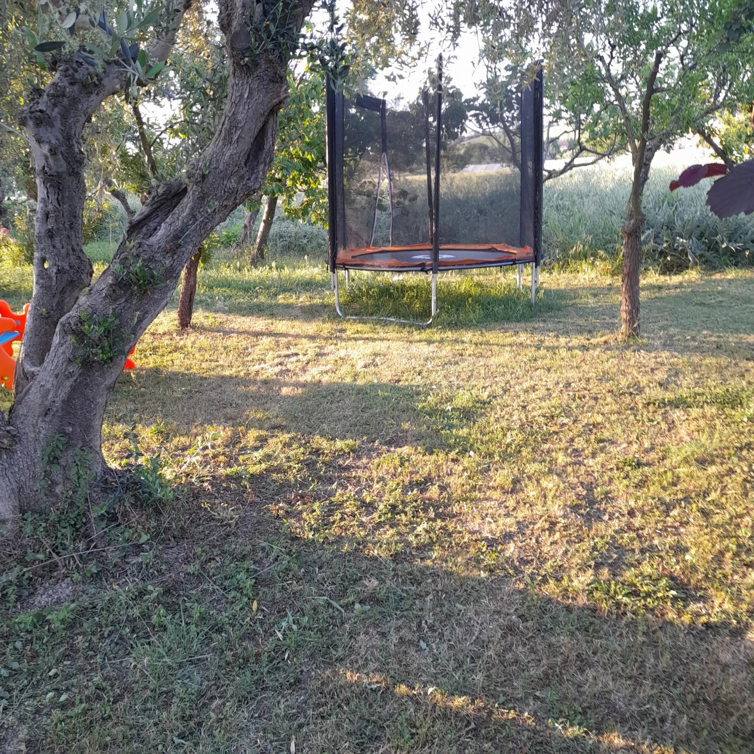 Garden in Casale della rosa