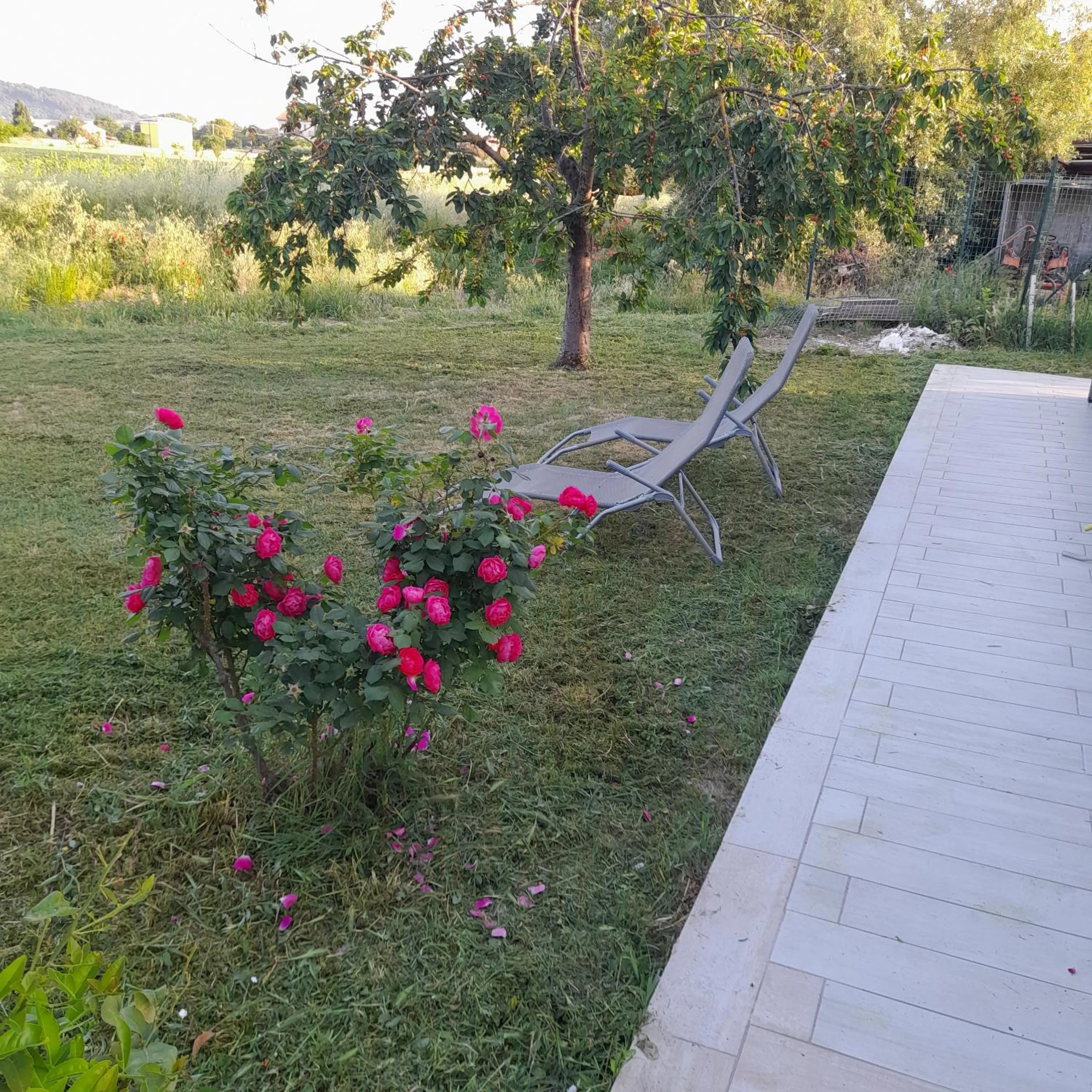 Garden in Casale della rosa