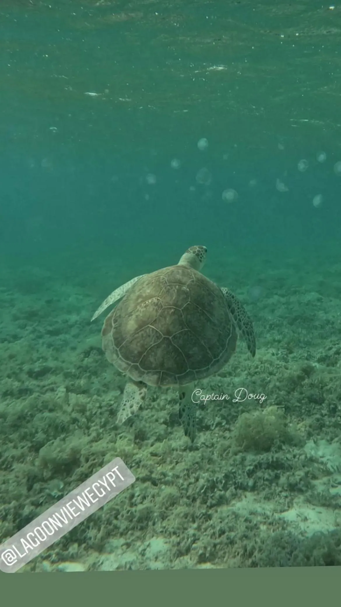 Snorkeling in Dream Lagoon Resort & Aqua Park