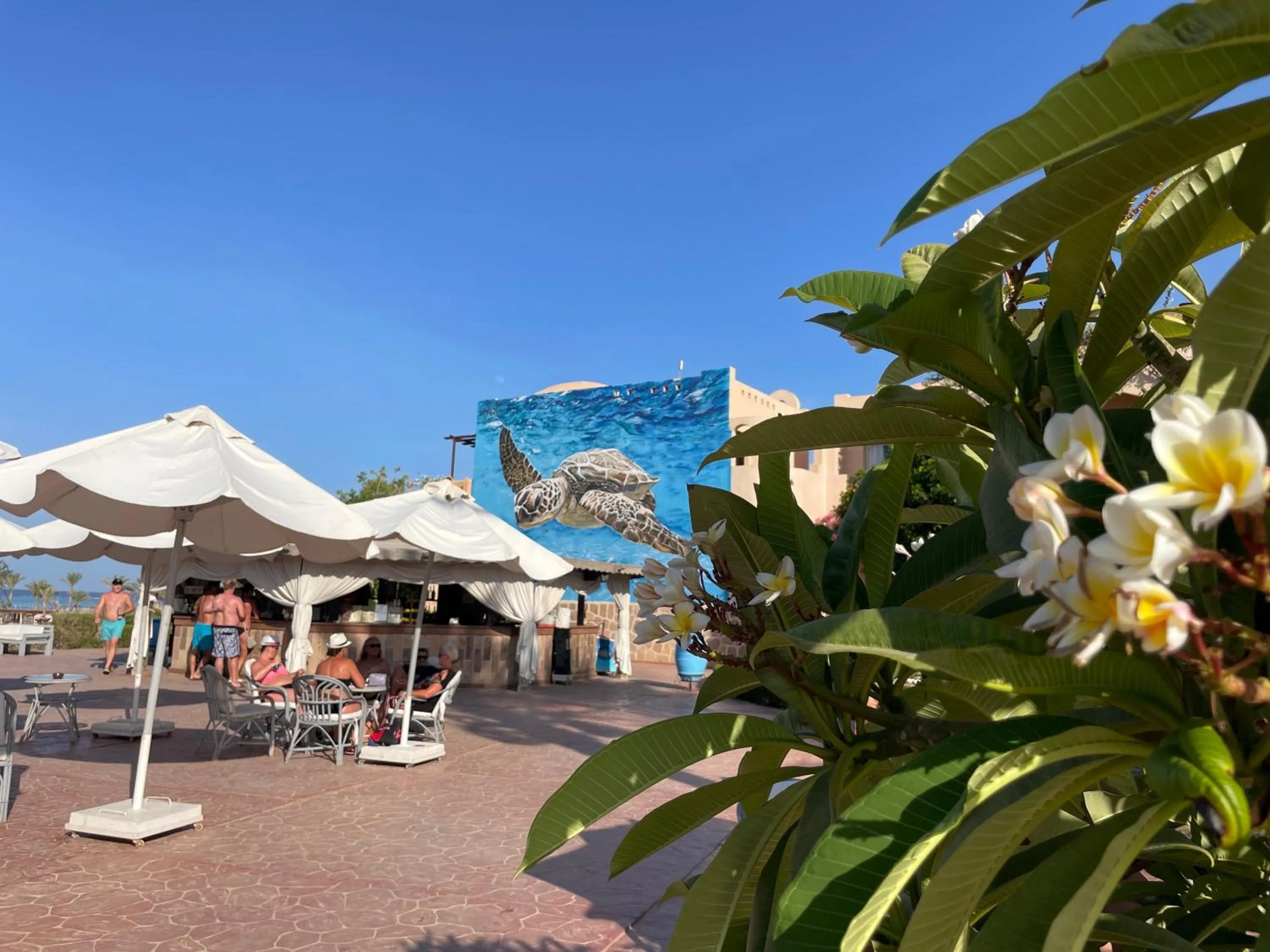 Patio in Dream Lagoon Resort & Aqua Park