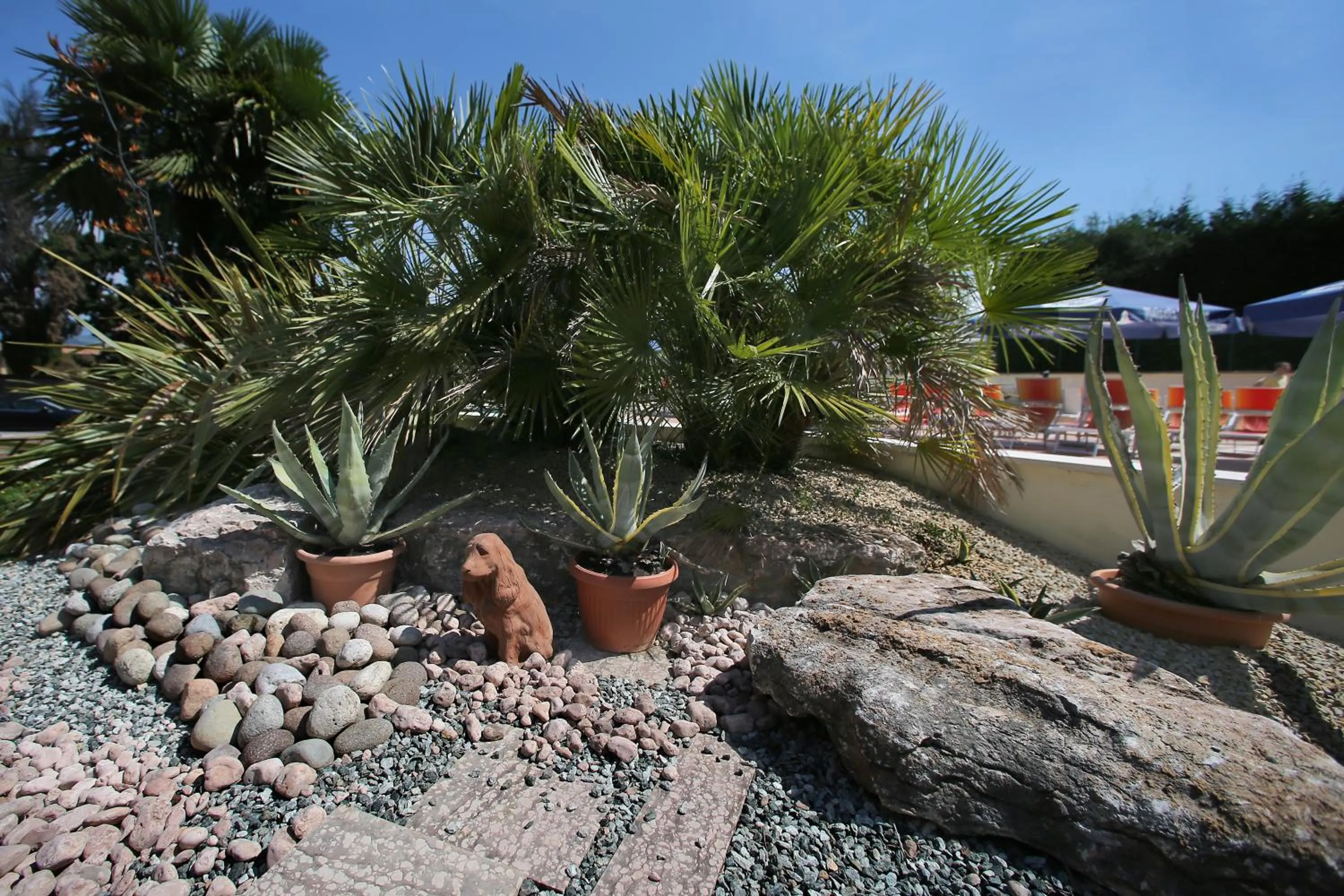 Day in Hotel San Vito