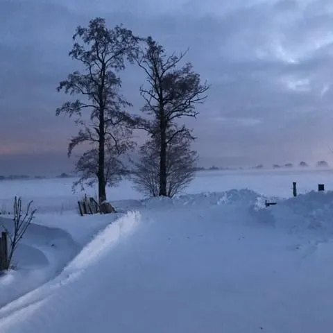 Bed and Breakfast ChickpointCharlie