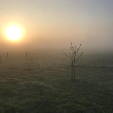 Bed and Breakfast ChickpointCharlie