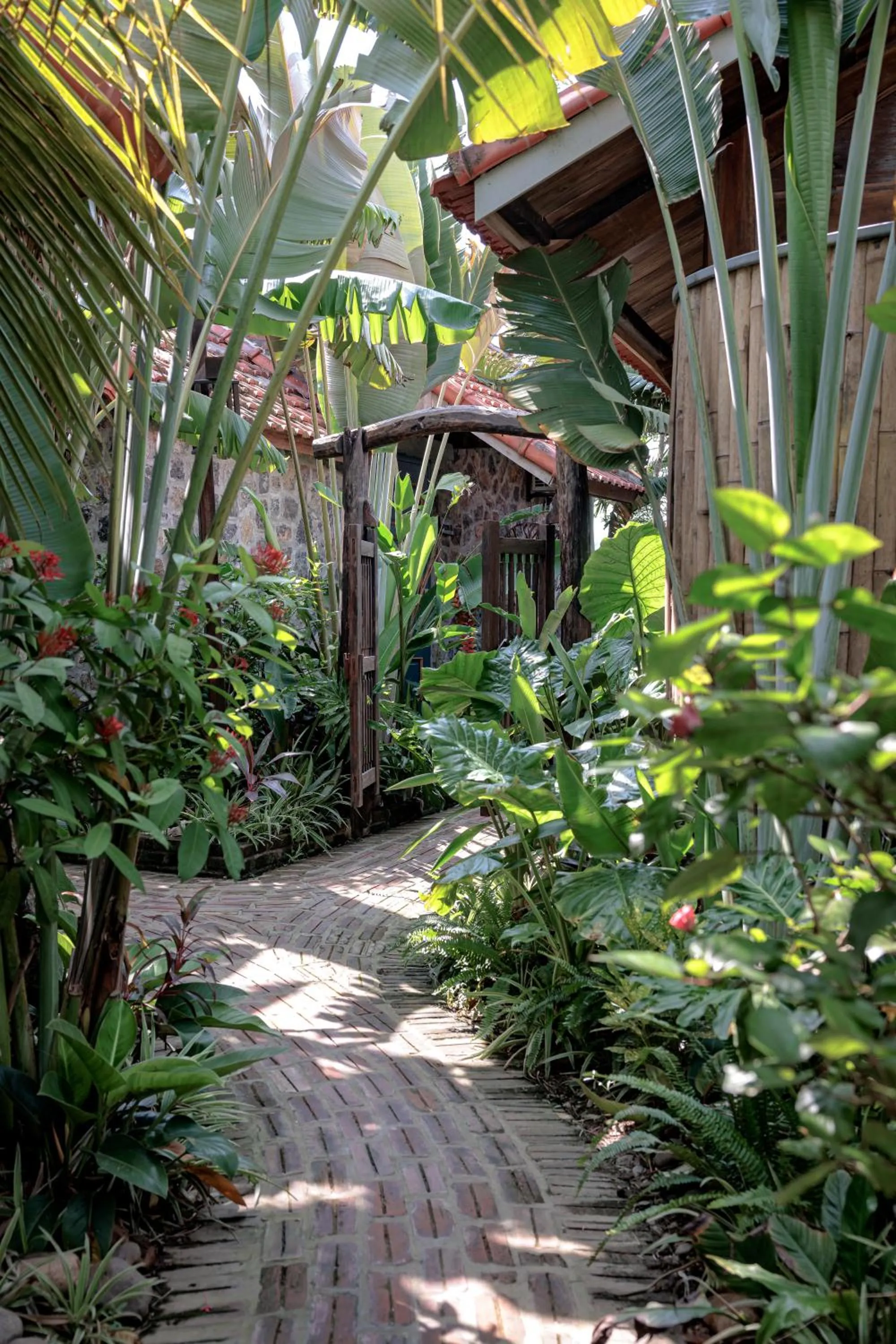 Natural landscape in ChezCao Rice Field Ecolodge Ninh Binh