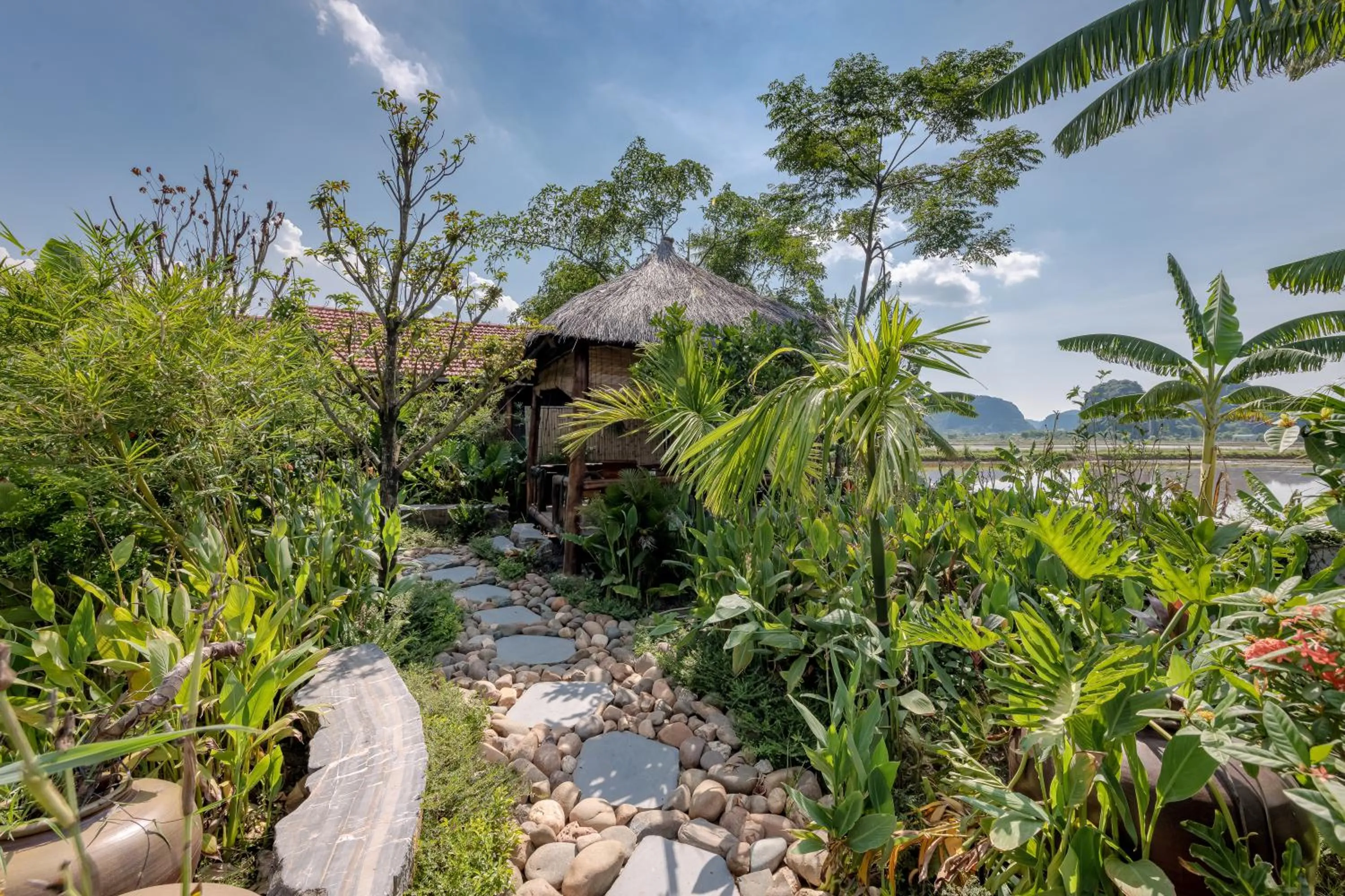 Natural landscape in ChezCao Rice Field Ecolodge Ninh Binh