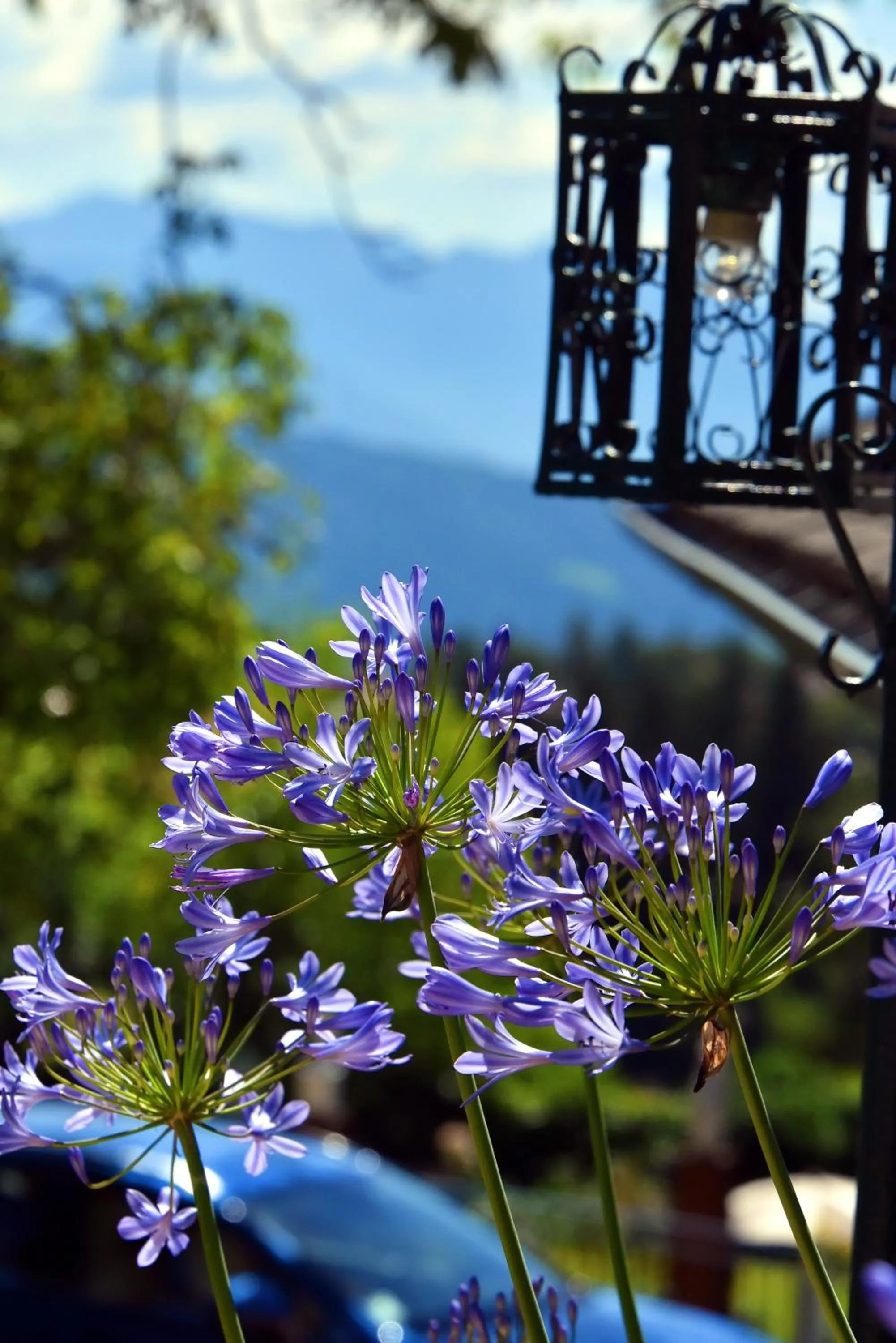 Property building in Alp Wellness Sport Hotel Panorama