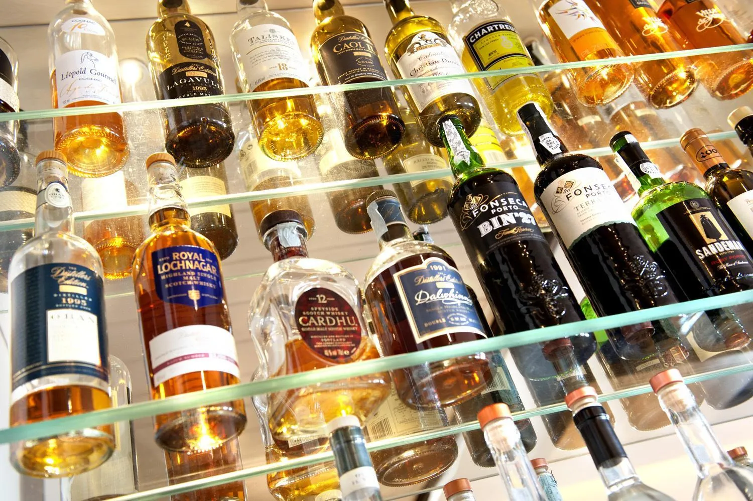 Food and drinks in Alp Wellness Sport Hotel Panorama