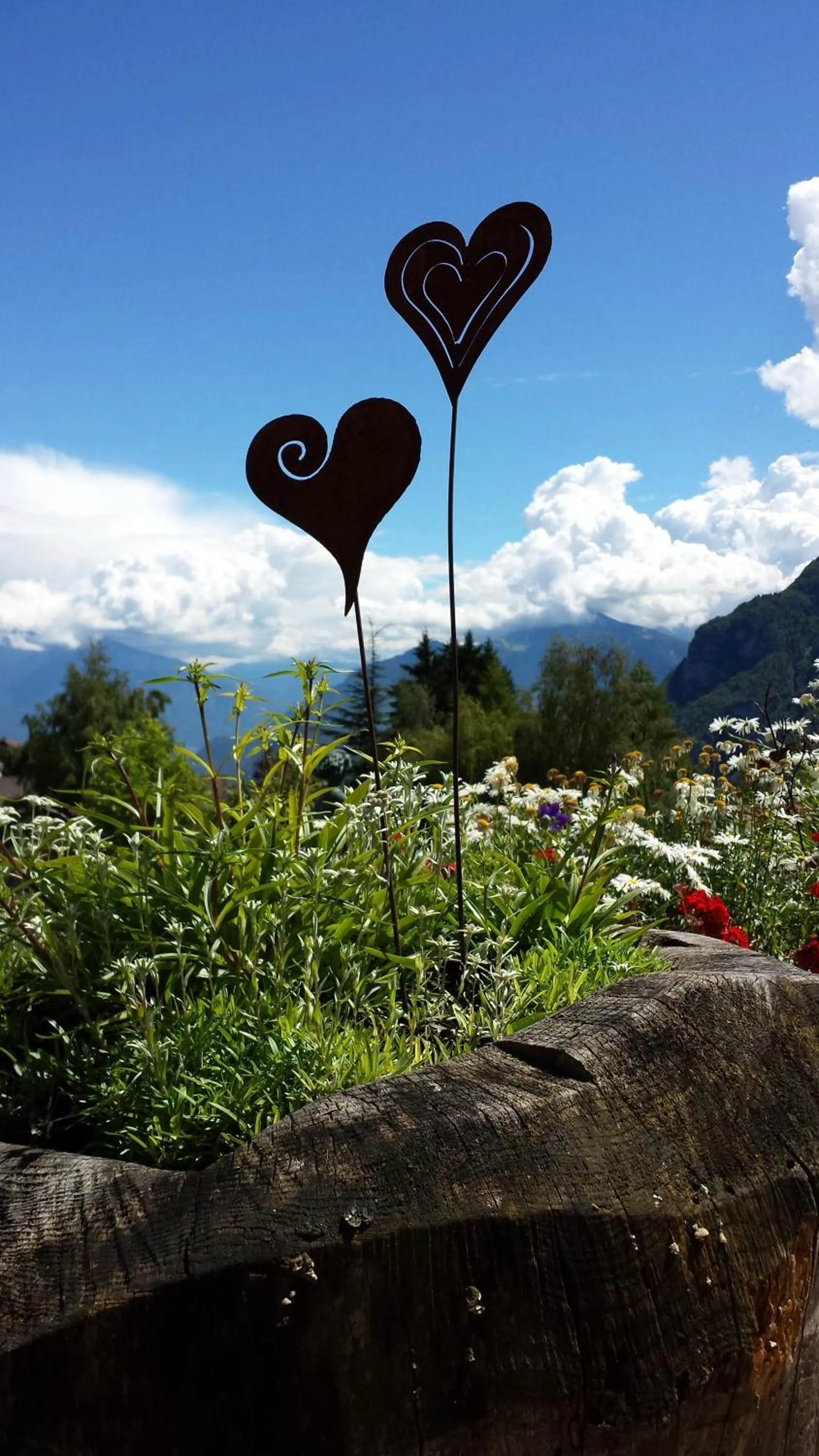 Garden in Alp Wellness Sport Hotel Panorama