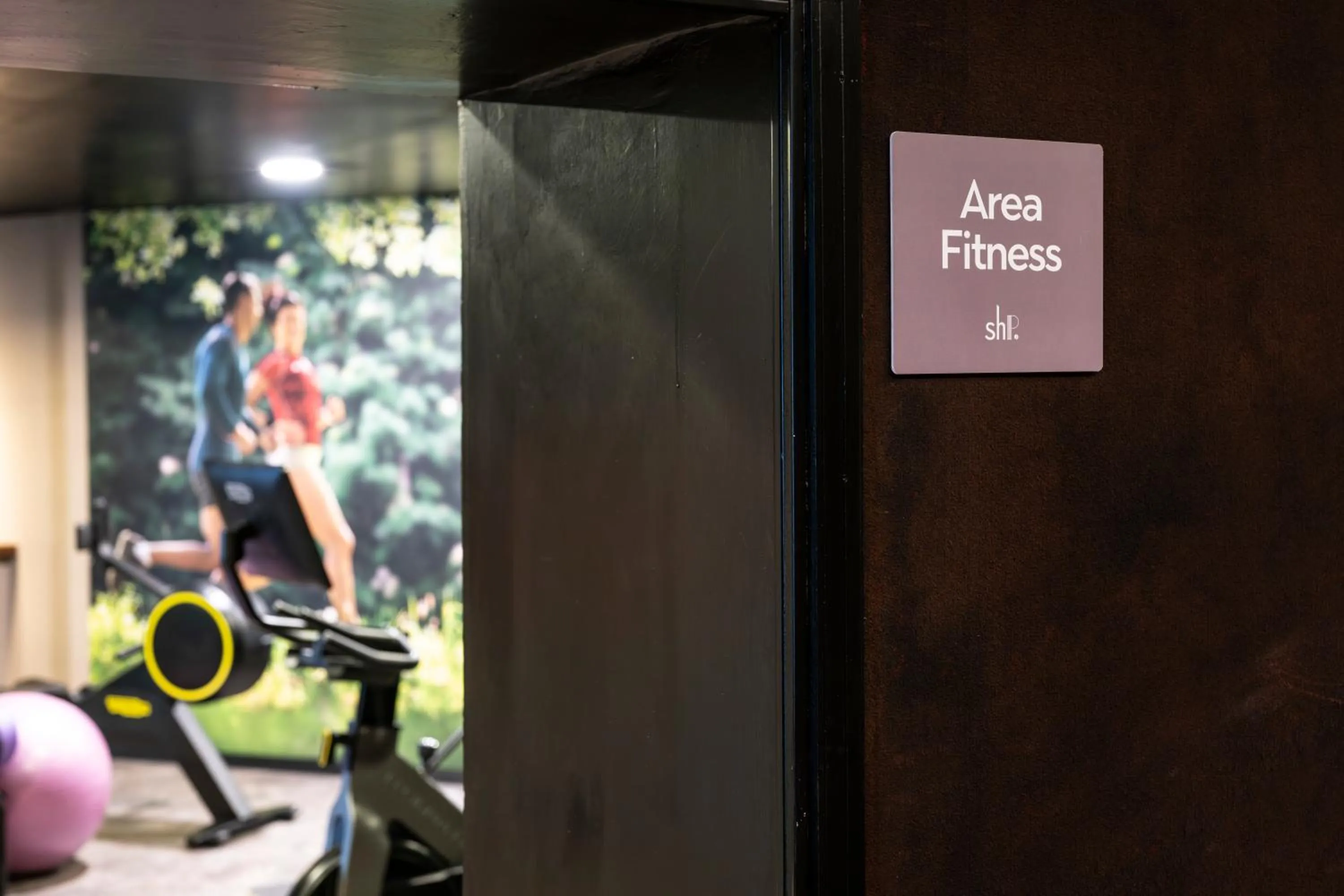 Fitness centre/facilities in Sport Hotel Panorama- SPA Resort