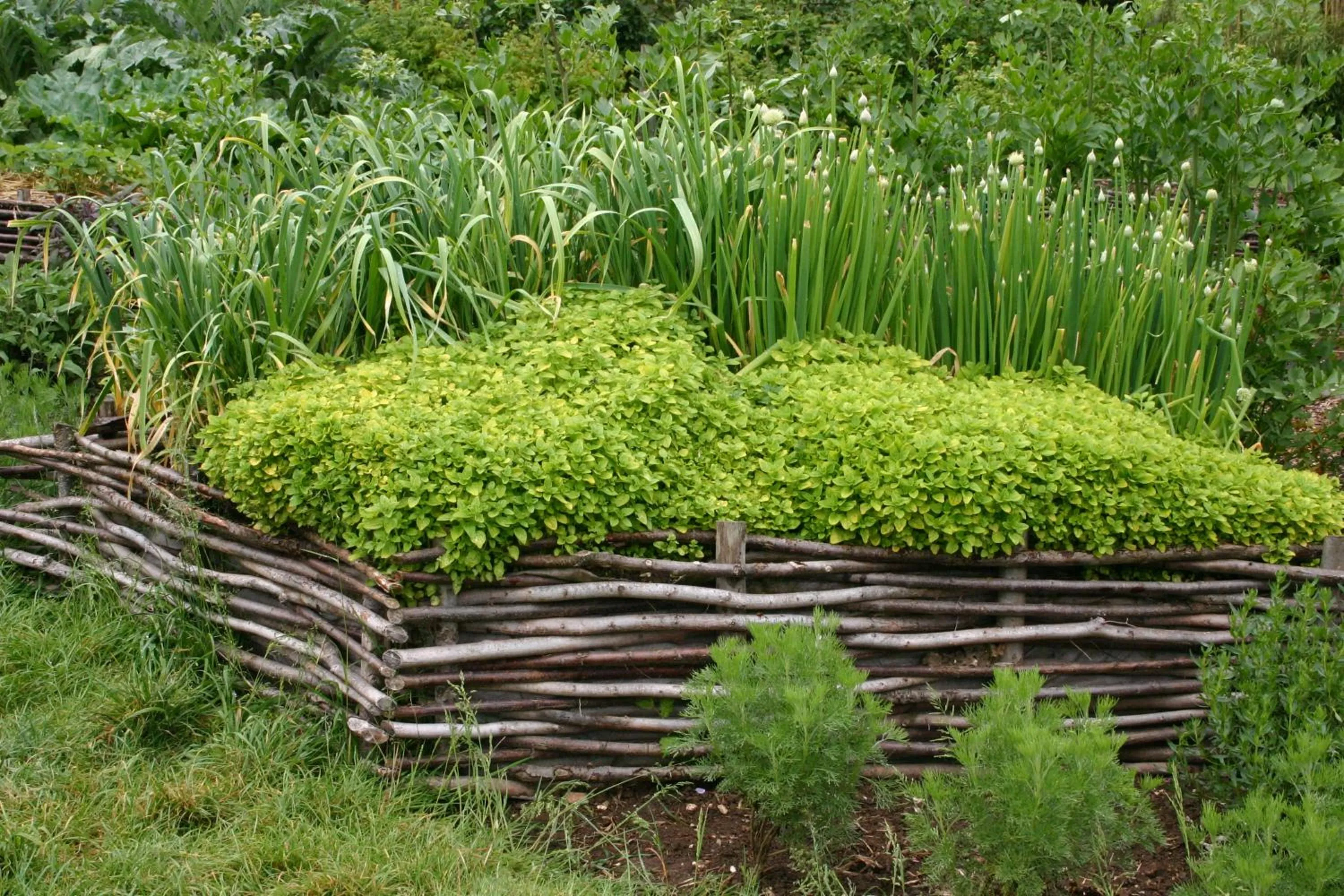 Children play ground in Alp Wellness Sport Hotel Panorama