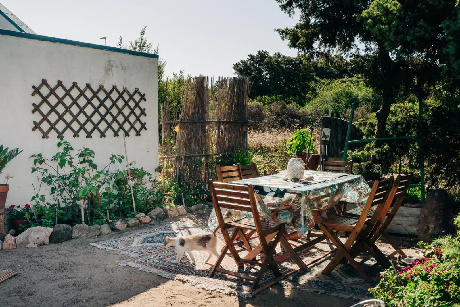 Garden in Juniper Bay