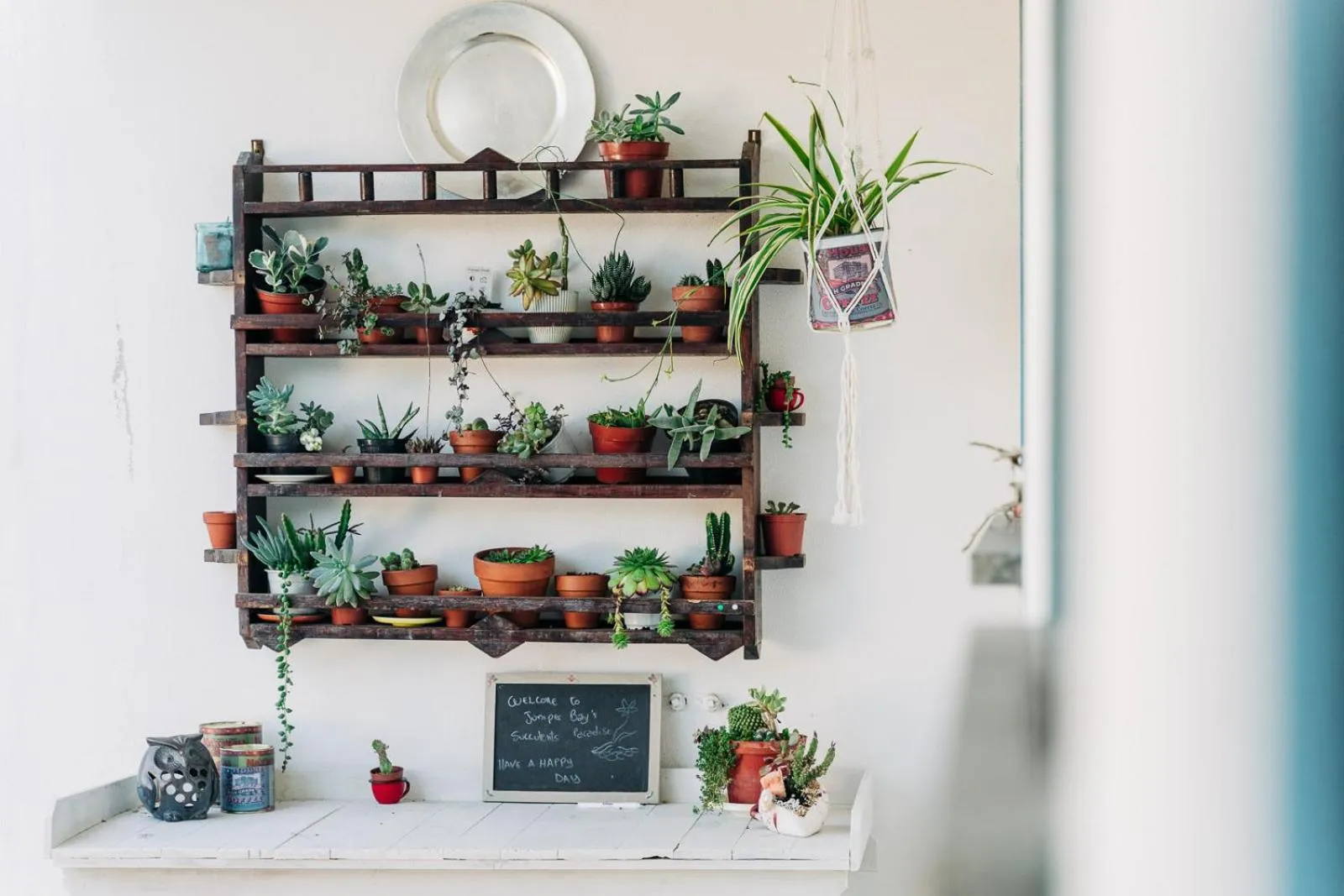 Garden in Juniper Bay