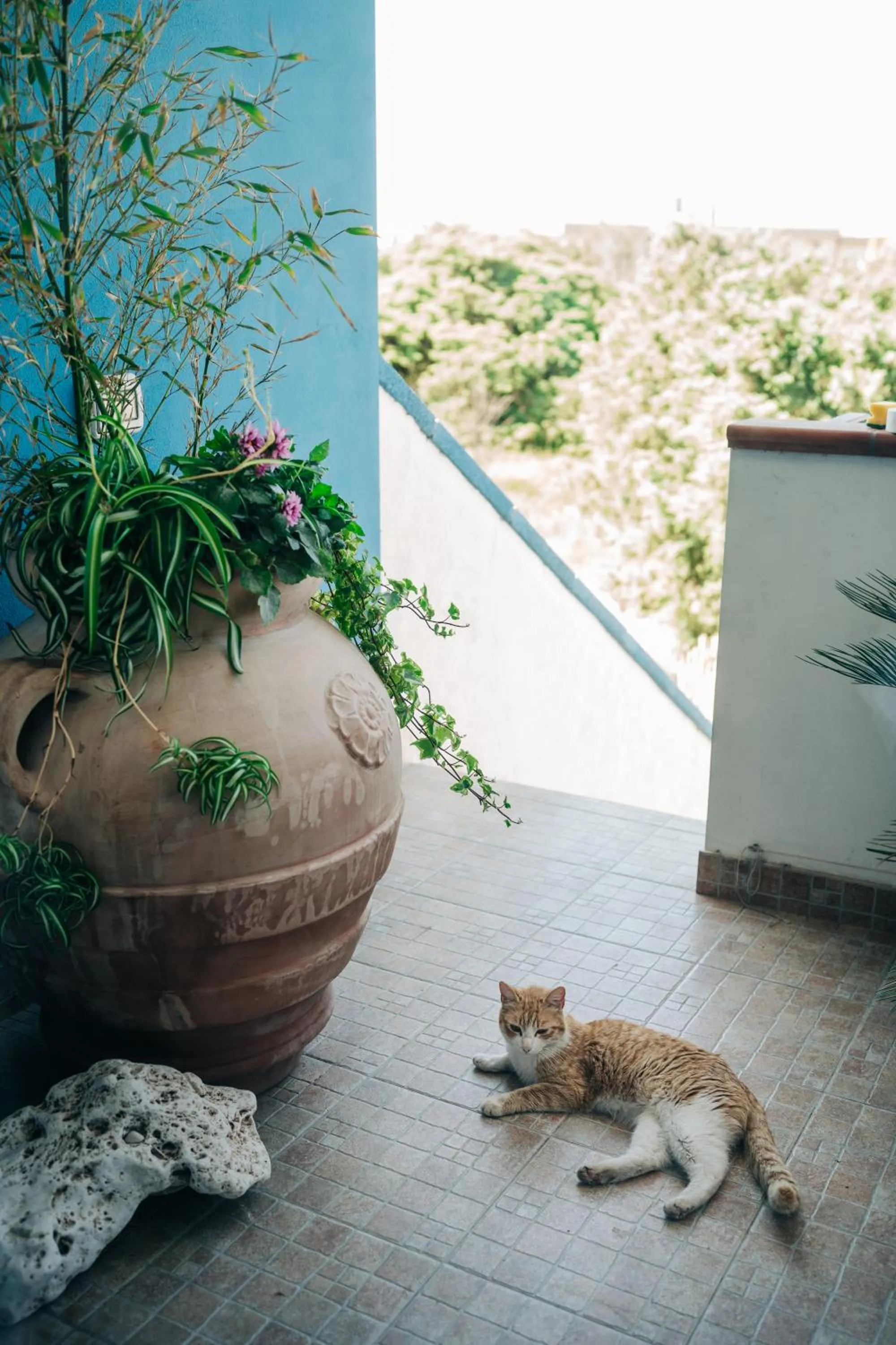 Balcony/Terrace in Juniper Bay