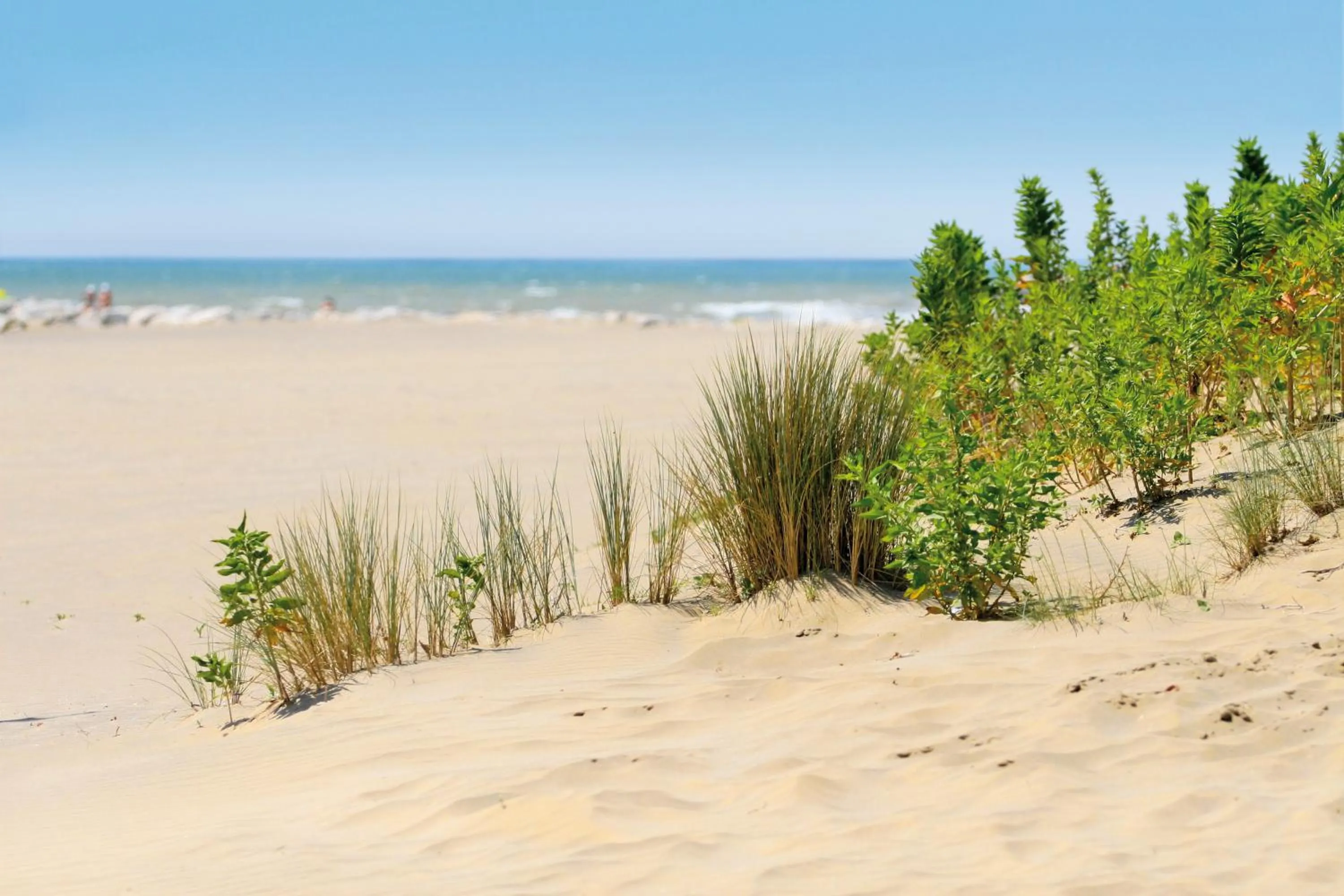 Beach in Art&Park Hotel Union Lido