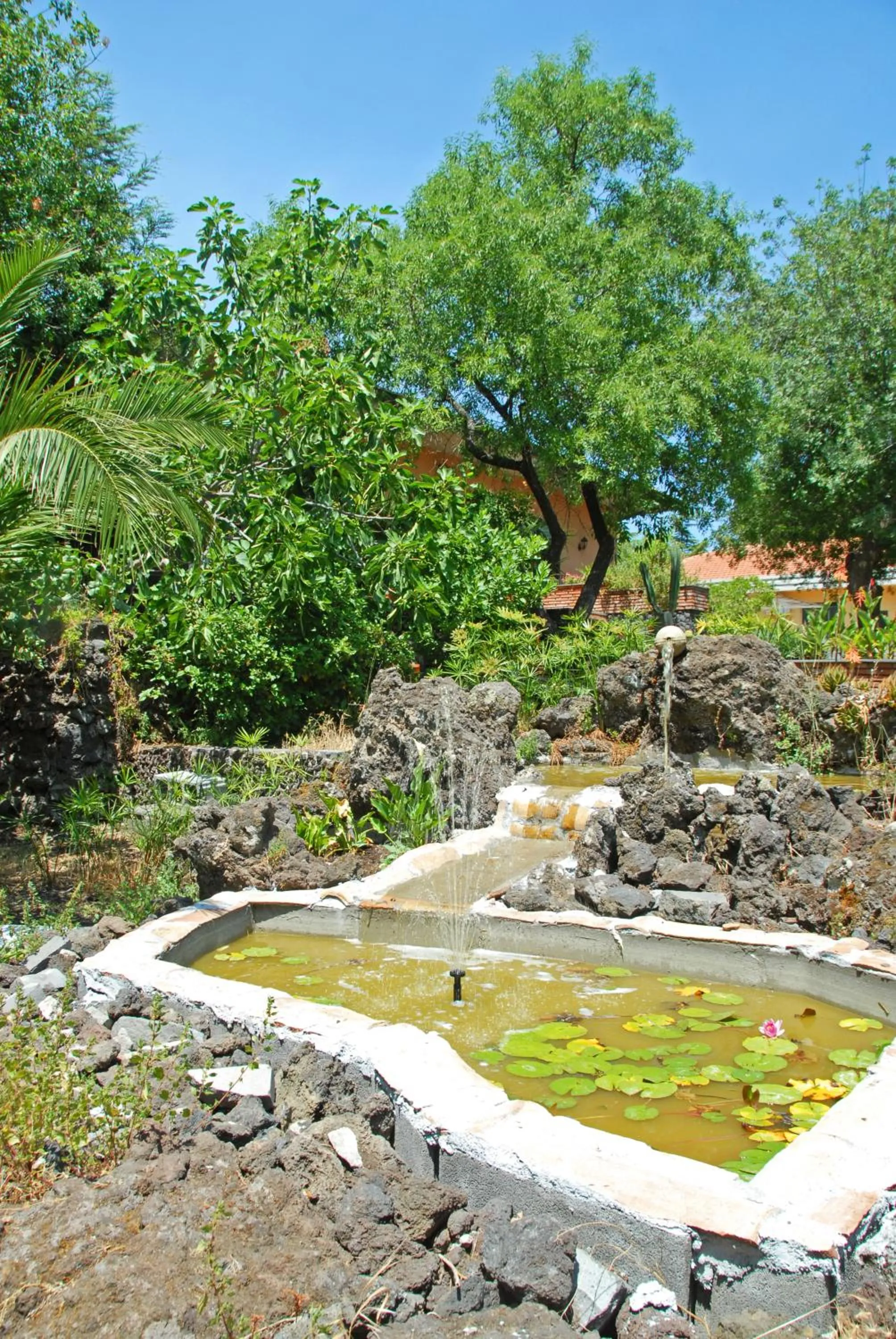 Garden in Sotto Il Vulcano