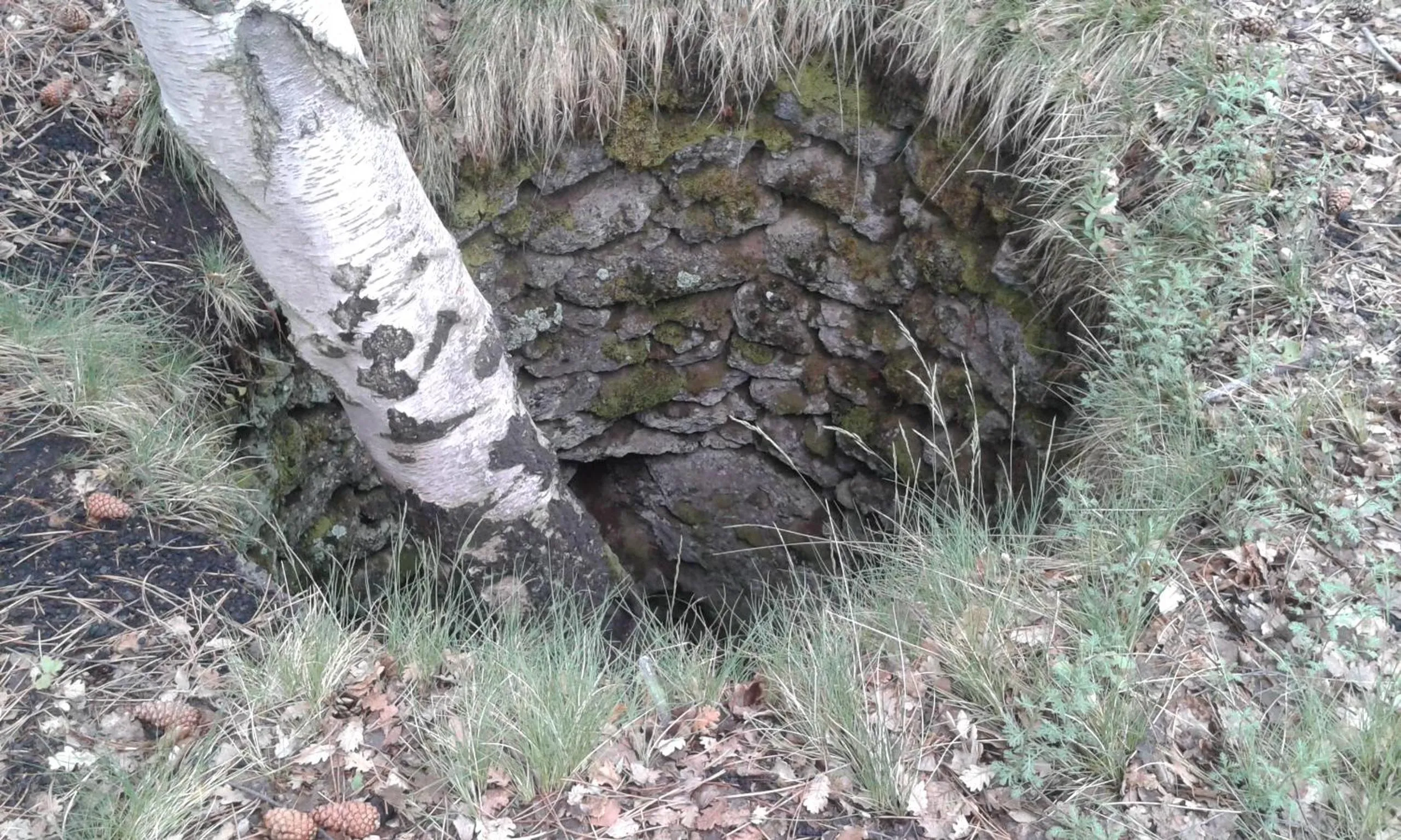 Garden in Sotto Il Vulcano