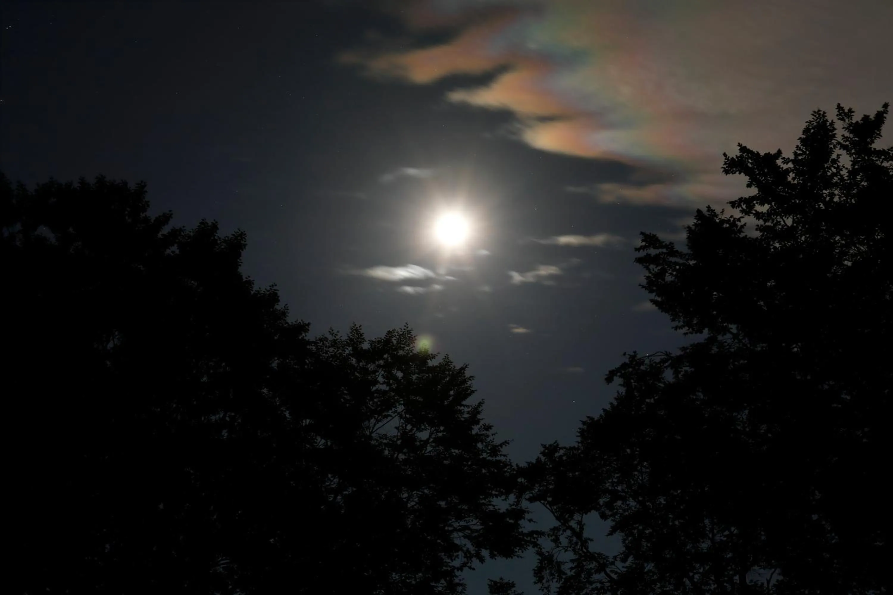 Night in Hotel Jogakura