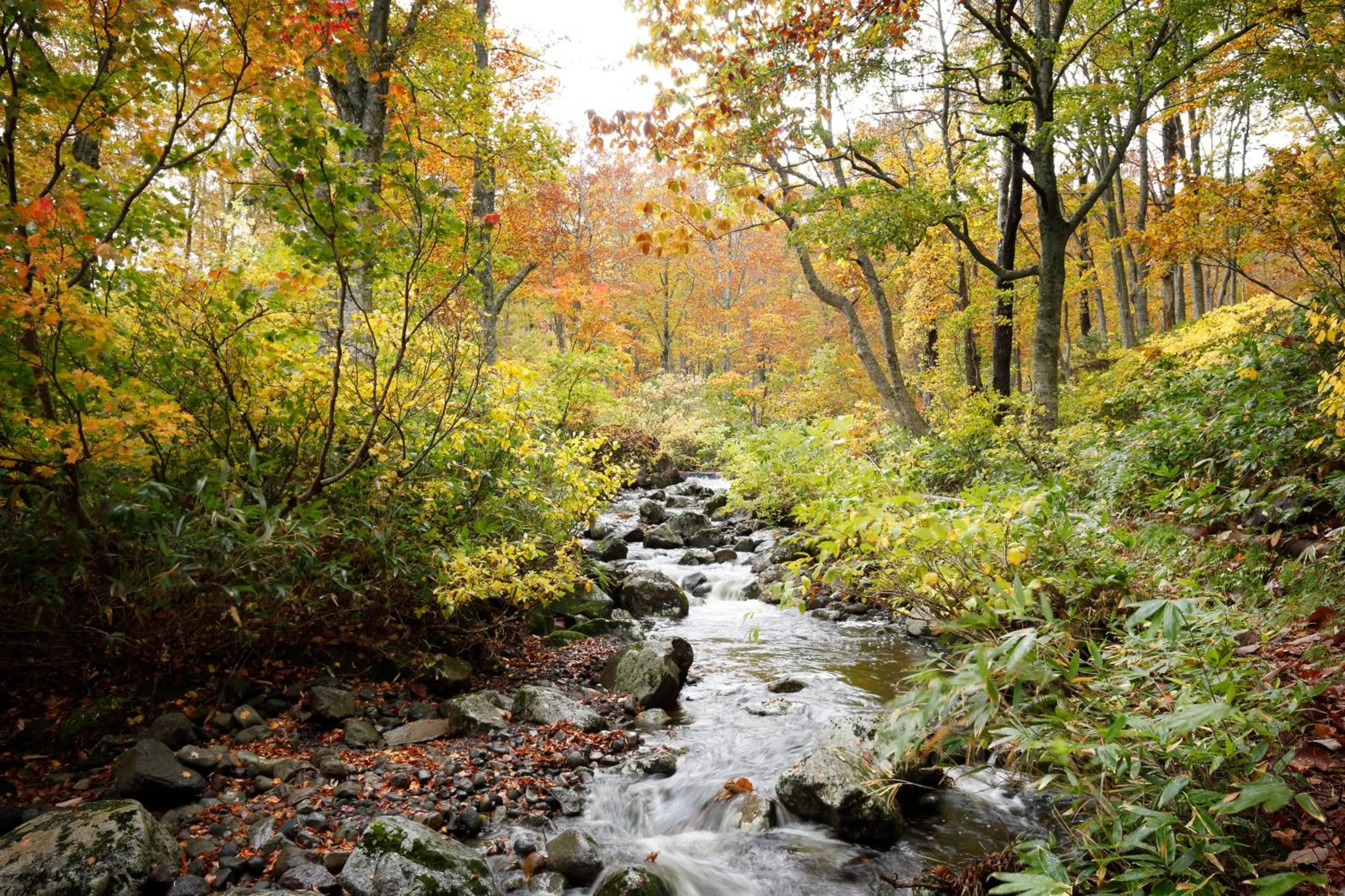 Off site in Hotel Jogakura