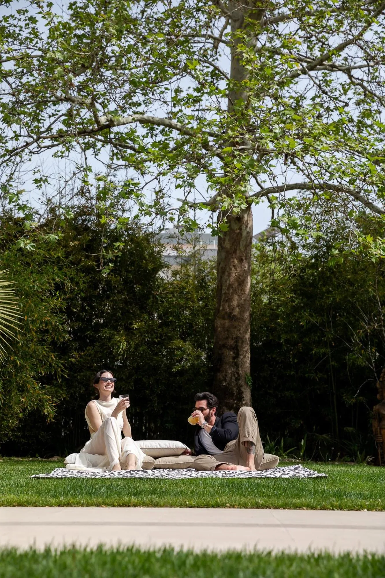 Garden in Hotel Carducci 76