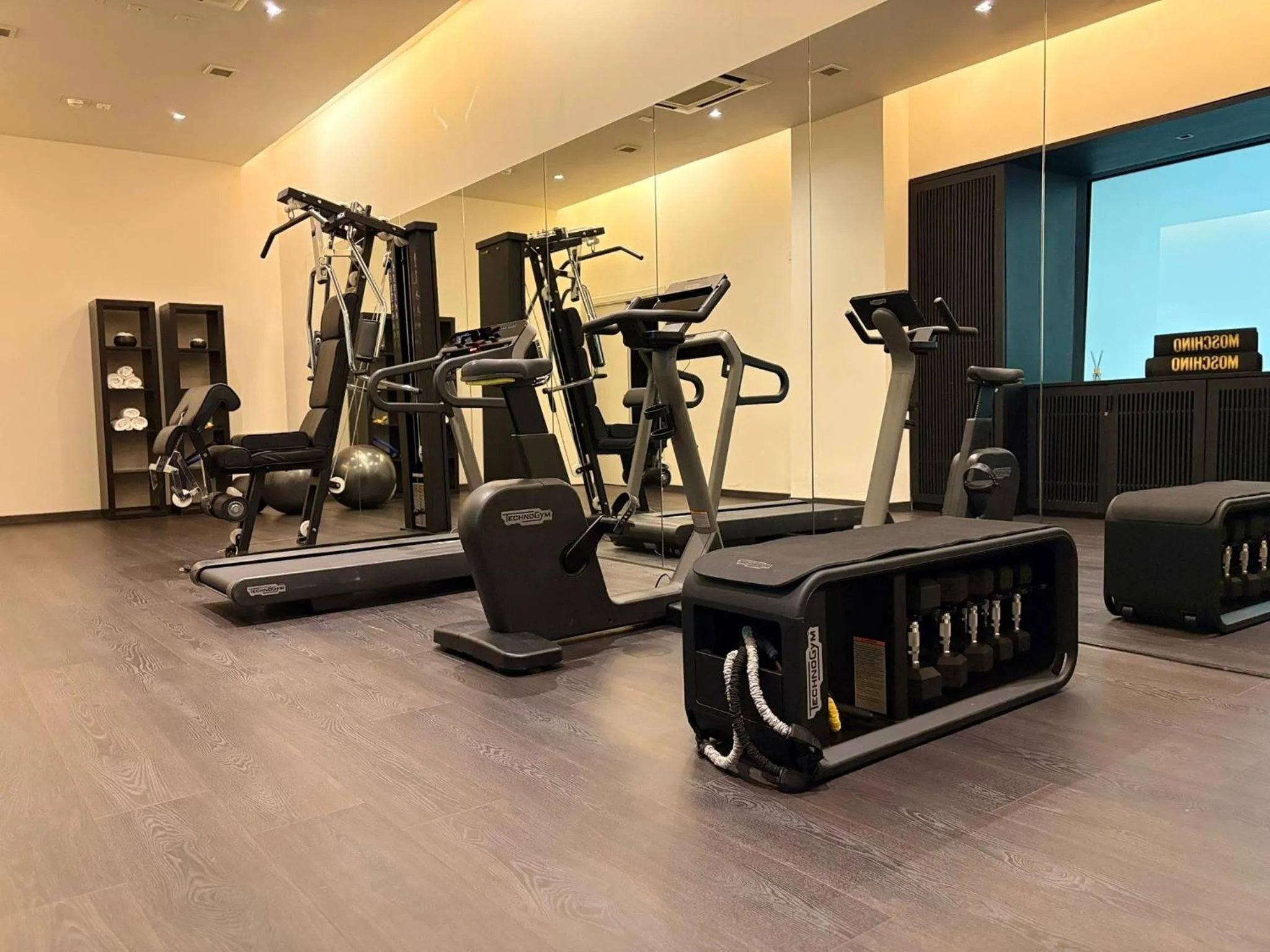 Fitness centre/facilities in Hotel Carducci 76