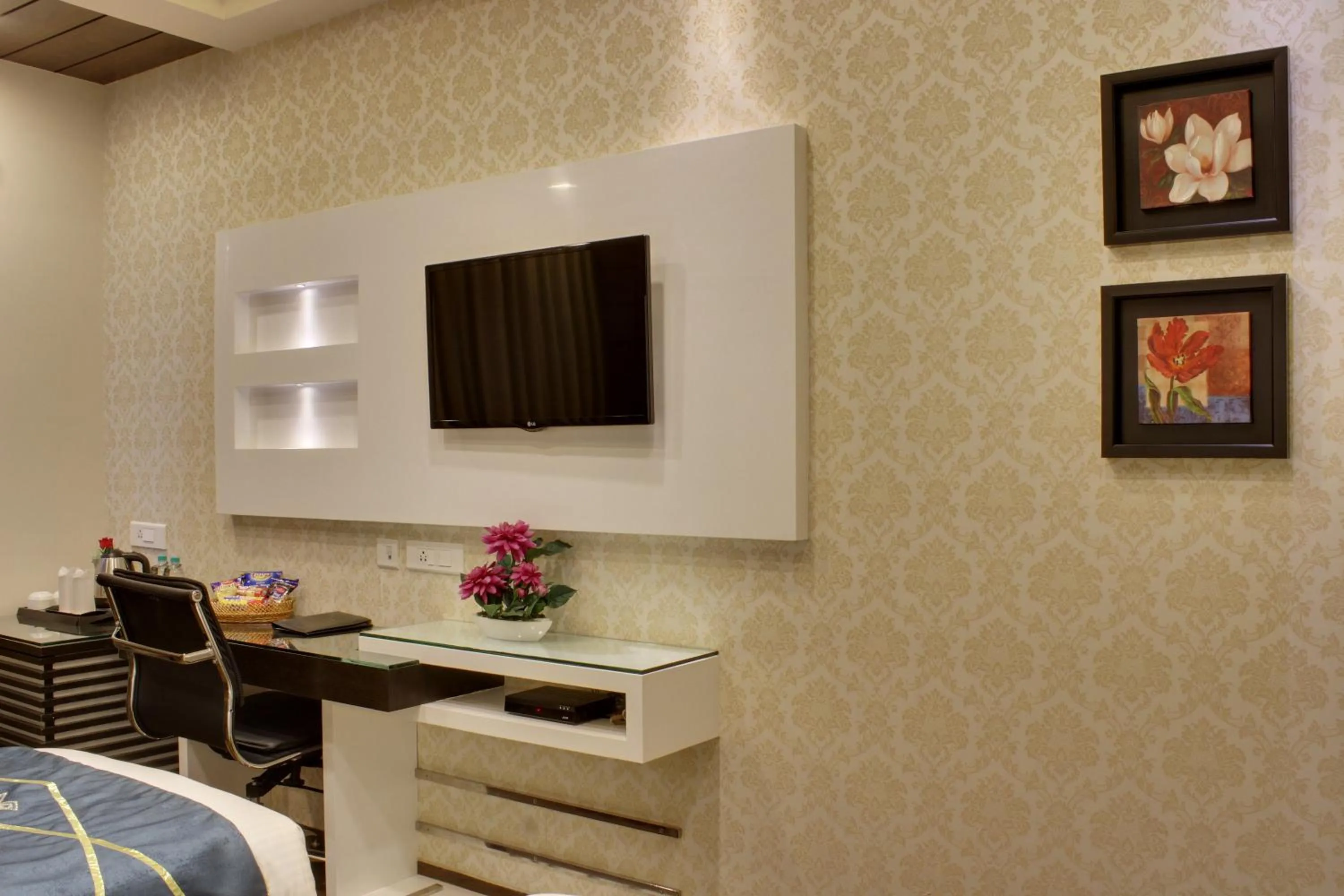 TV and multimedia in Hotel Taj Princess - Boutique Hotel