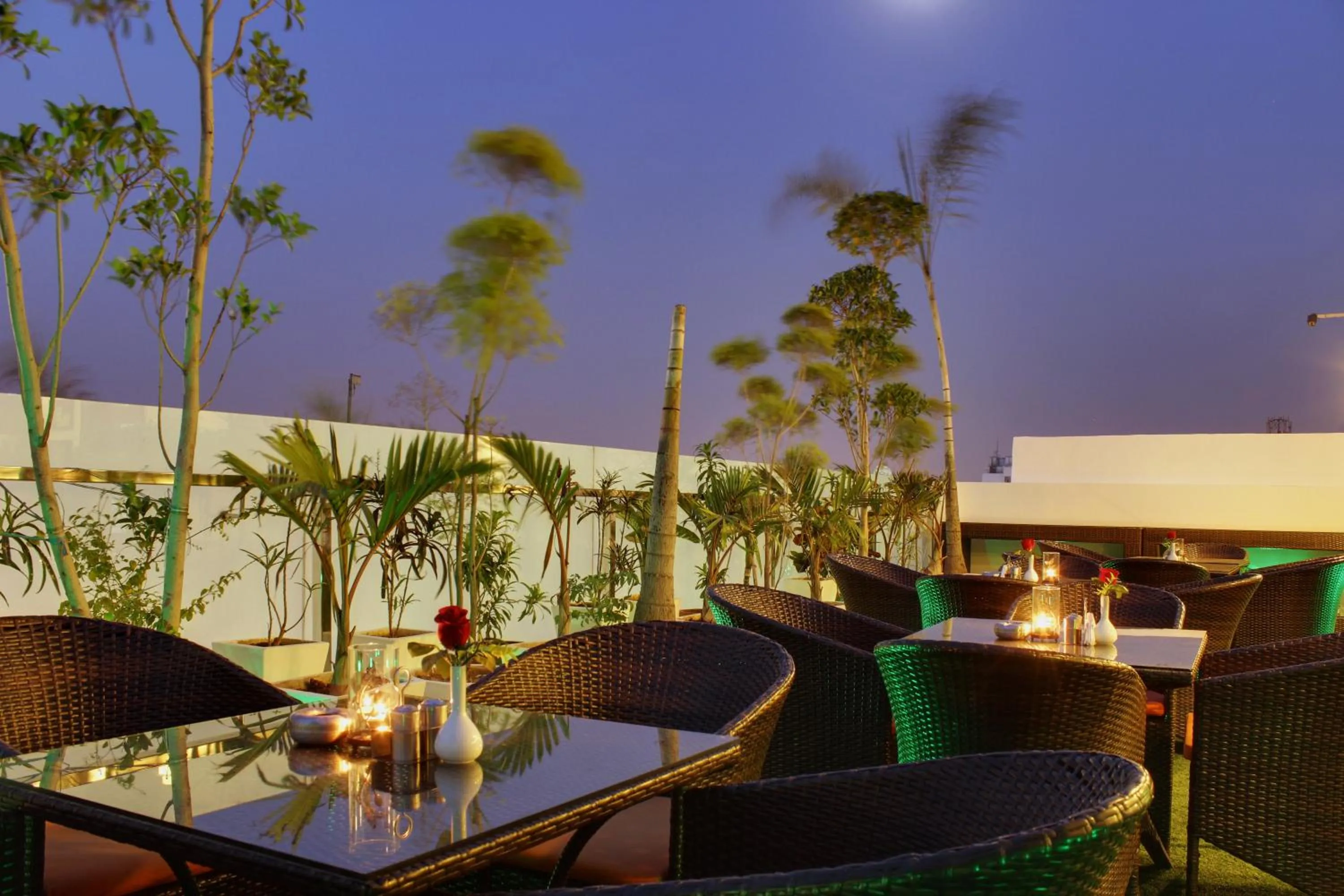 Restaurant/places to eat in Hotel Taj Princess - Boutique Hotel