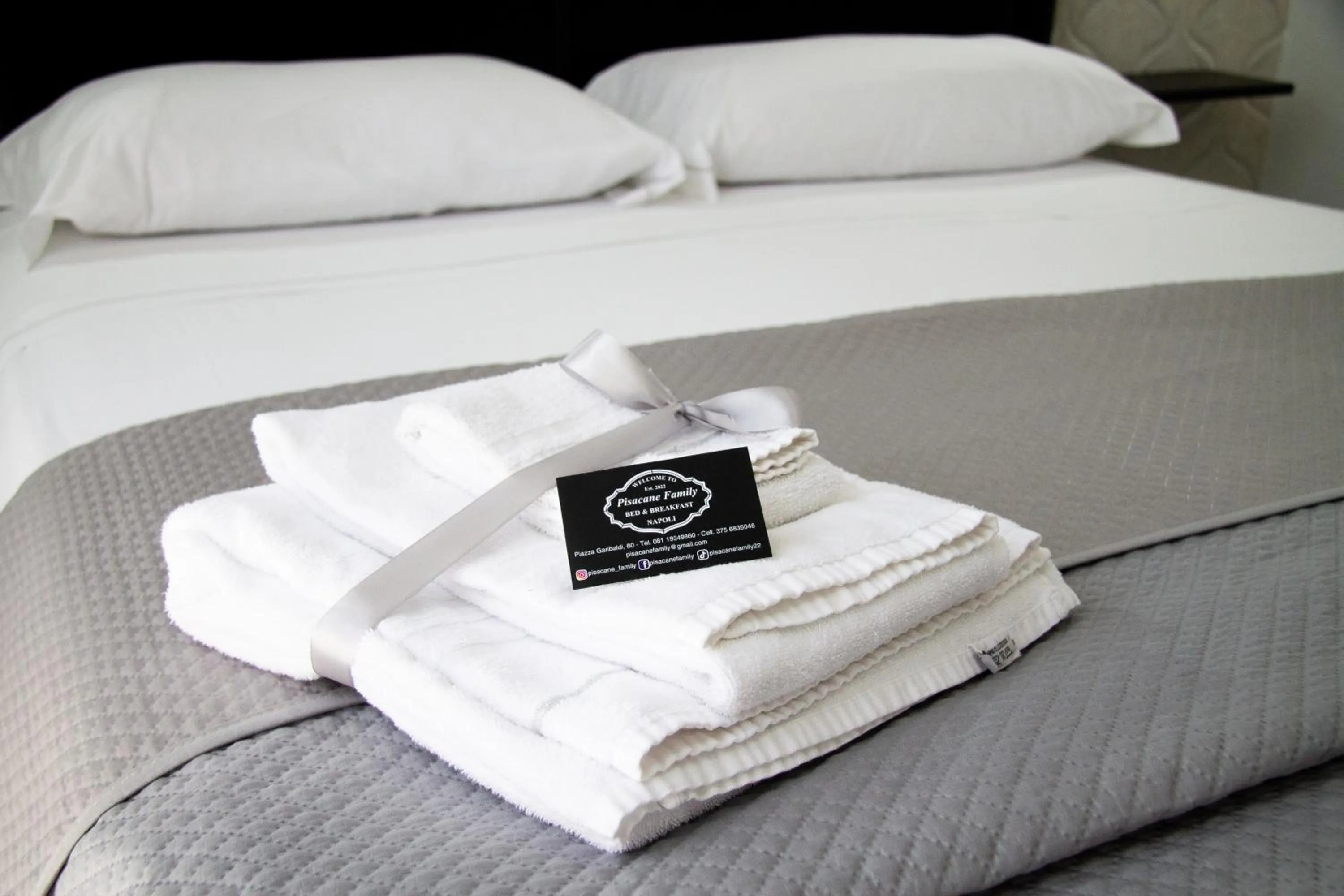 Bed in Pisacane Family