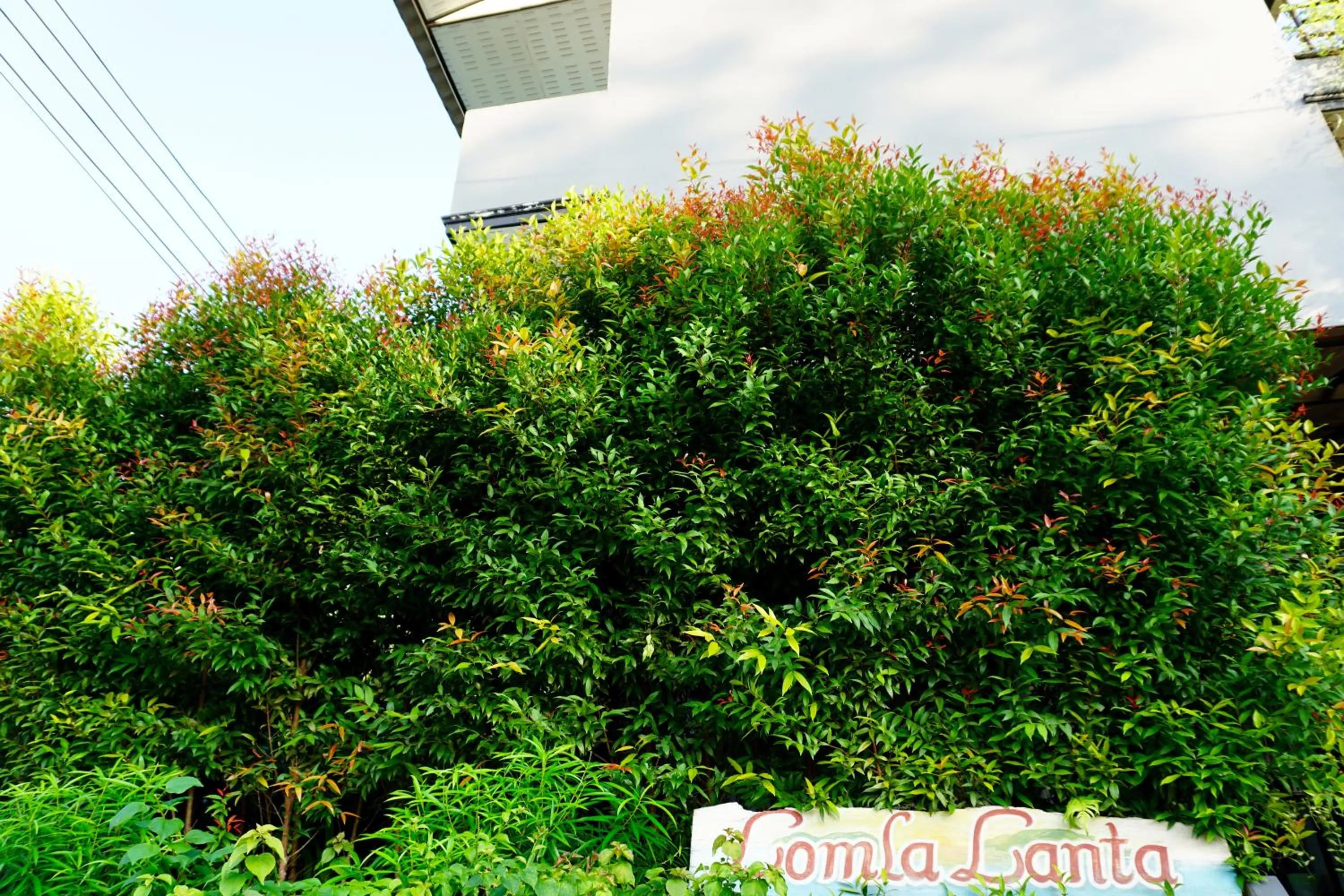 Facade/entrance in Lom La Lanta