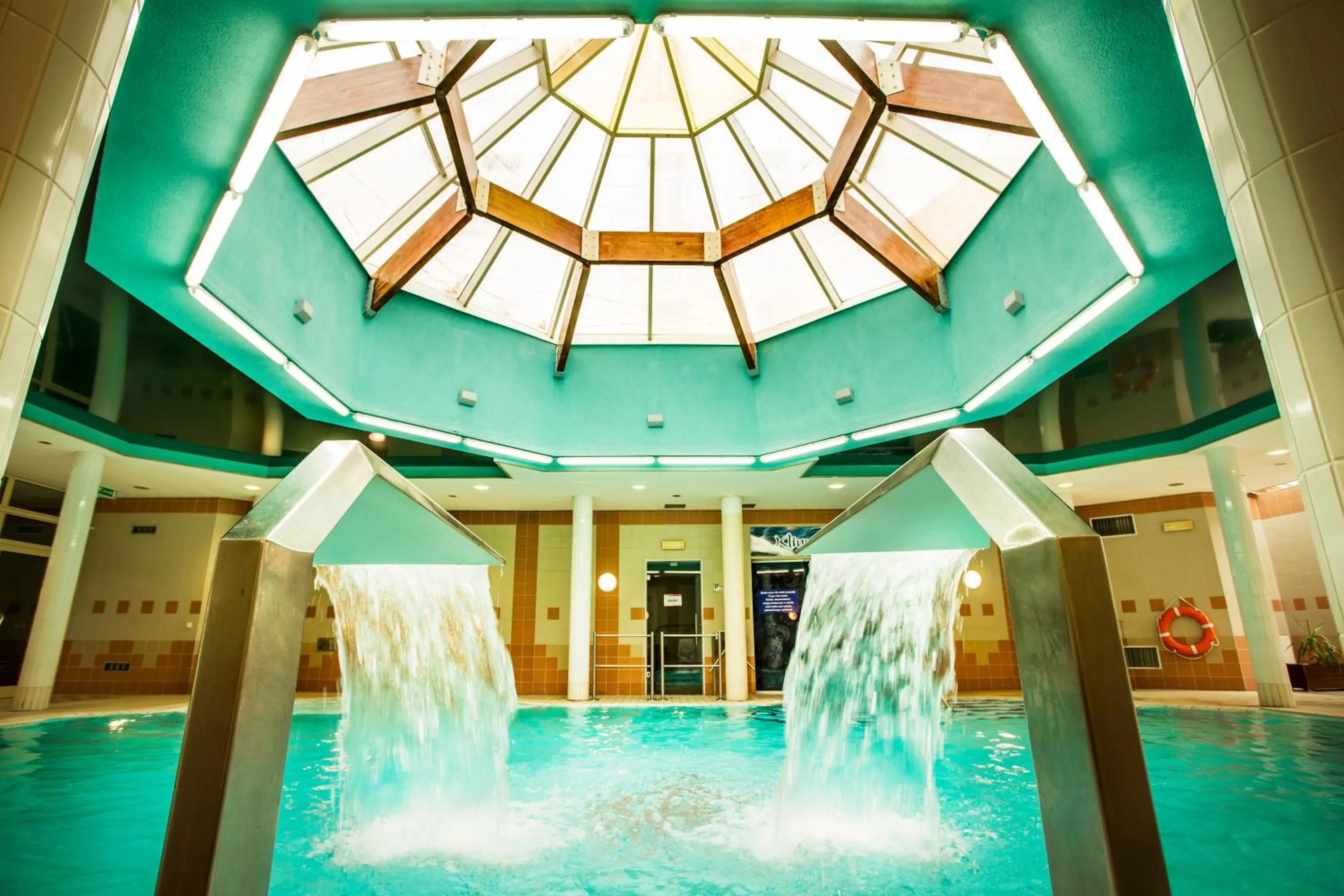 Swimming pool in Wielka Pieniawa