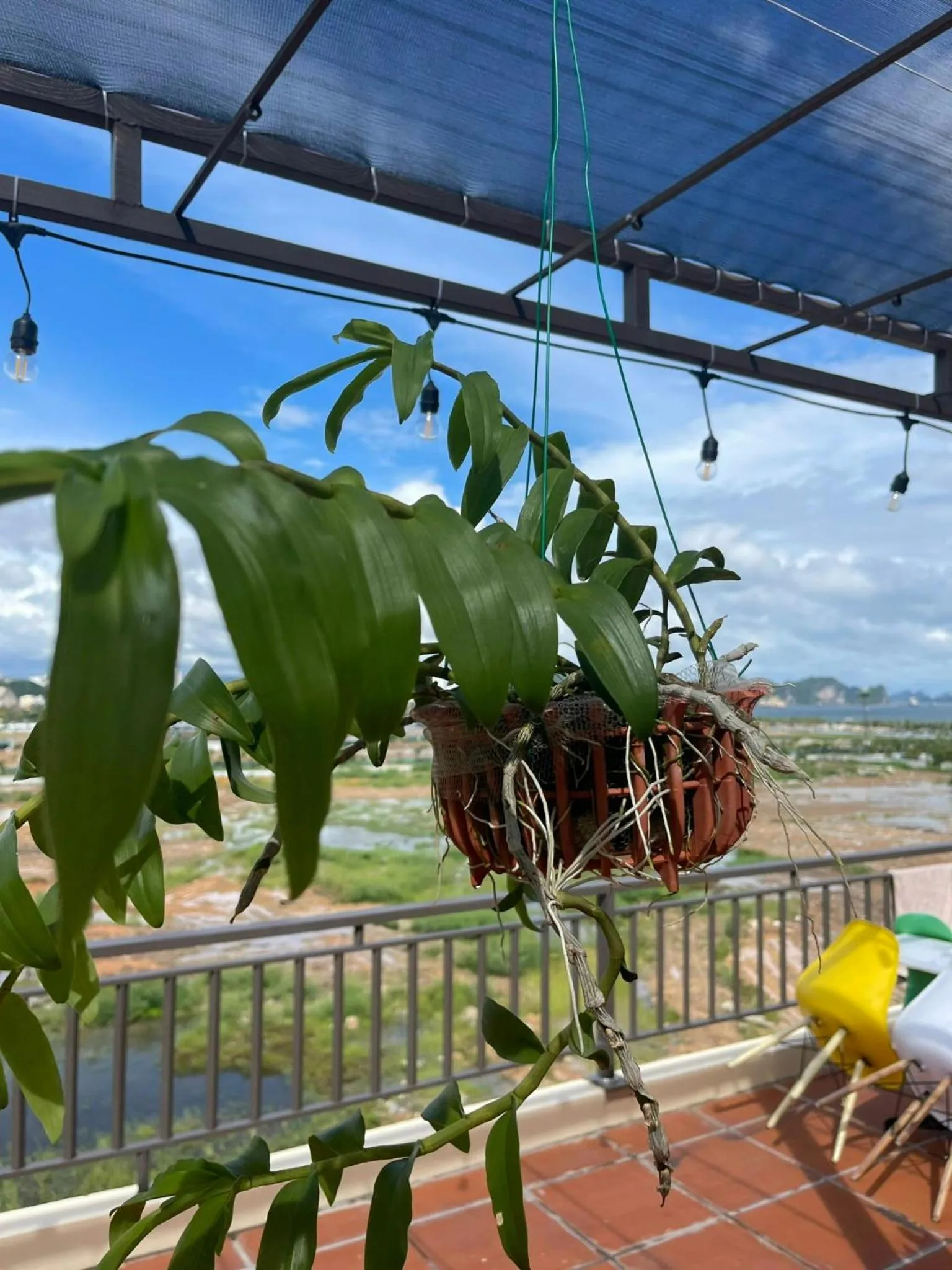 Garden view in Ha Long Seasun Hotel