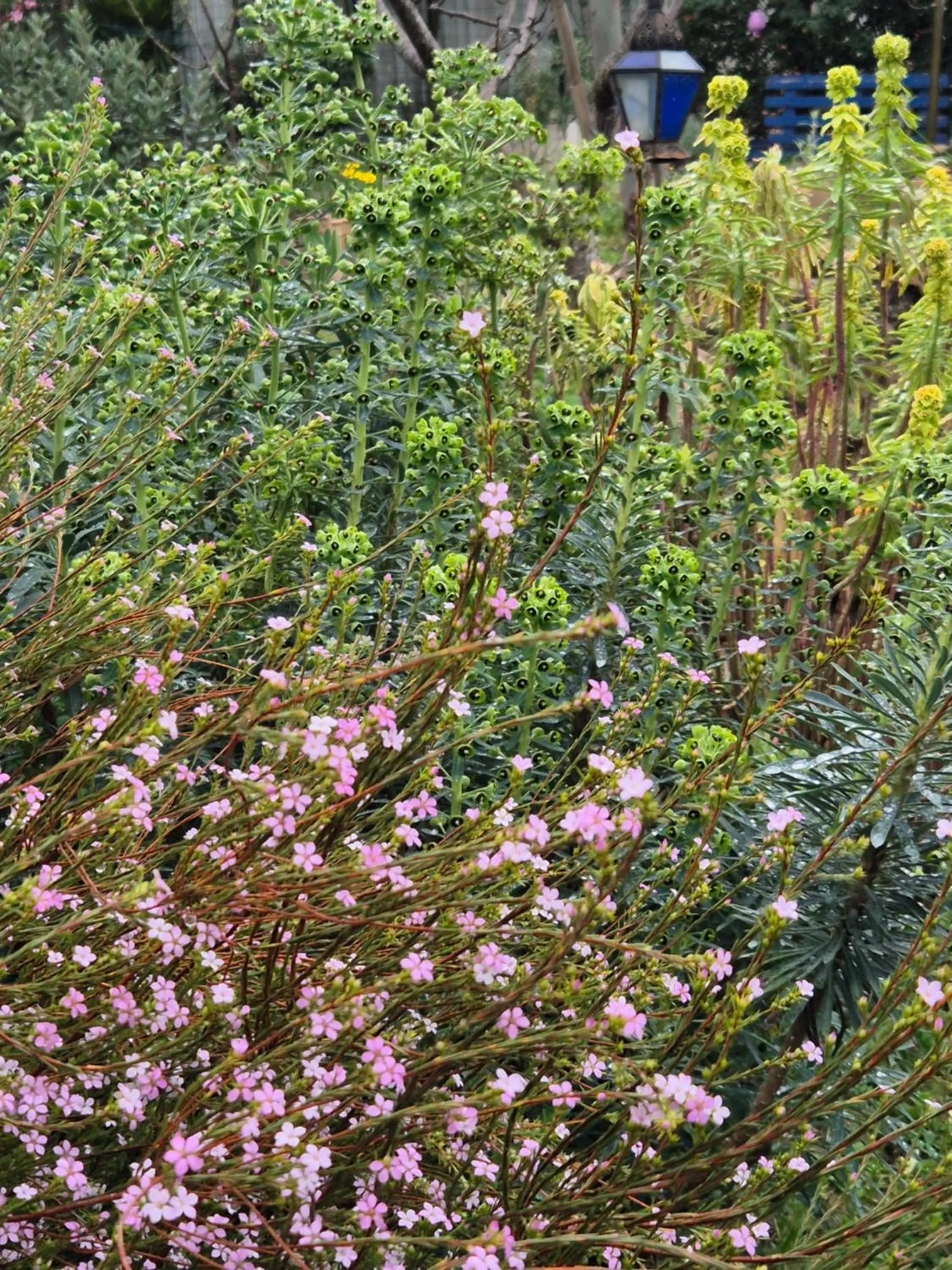 Spring in Bel Hotel Restaurant la Gentilhommière