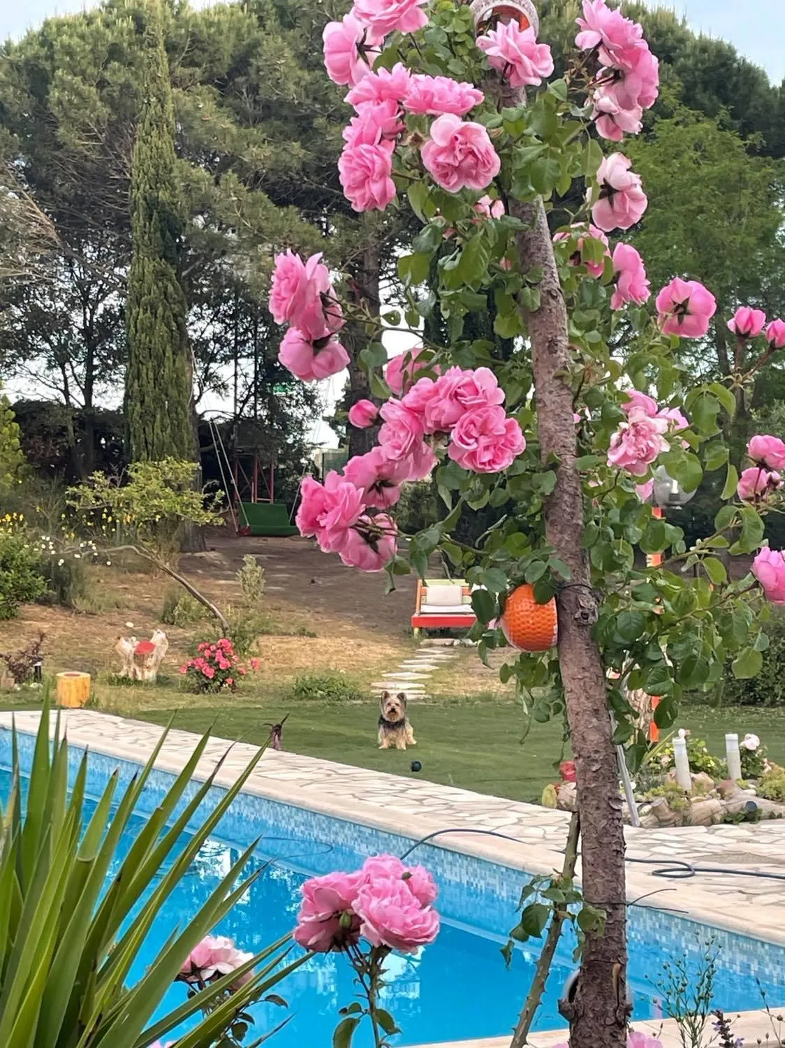 Spring in Bel Hotel Restaurant la Gentilhommière