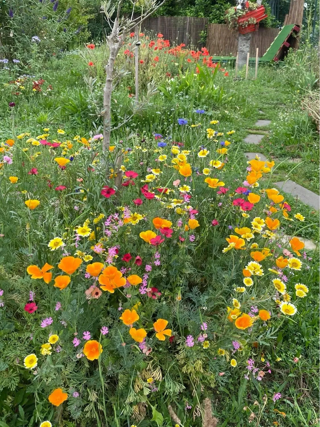 Spring in Bel Hotel Restaurant la Gentilhommière