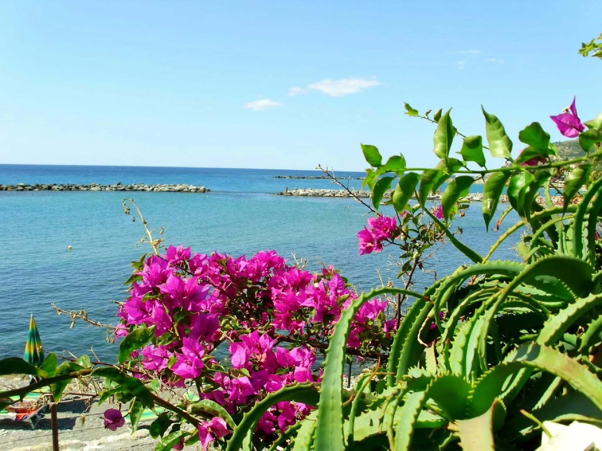 Summer in Hotel Paradiso