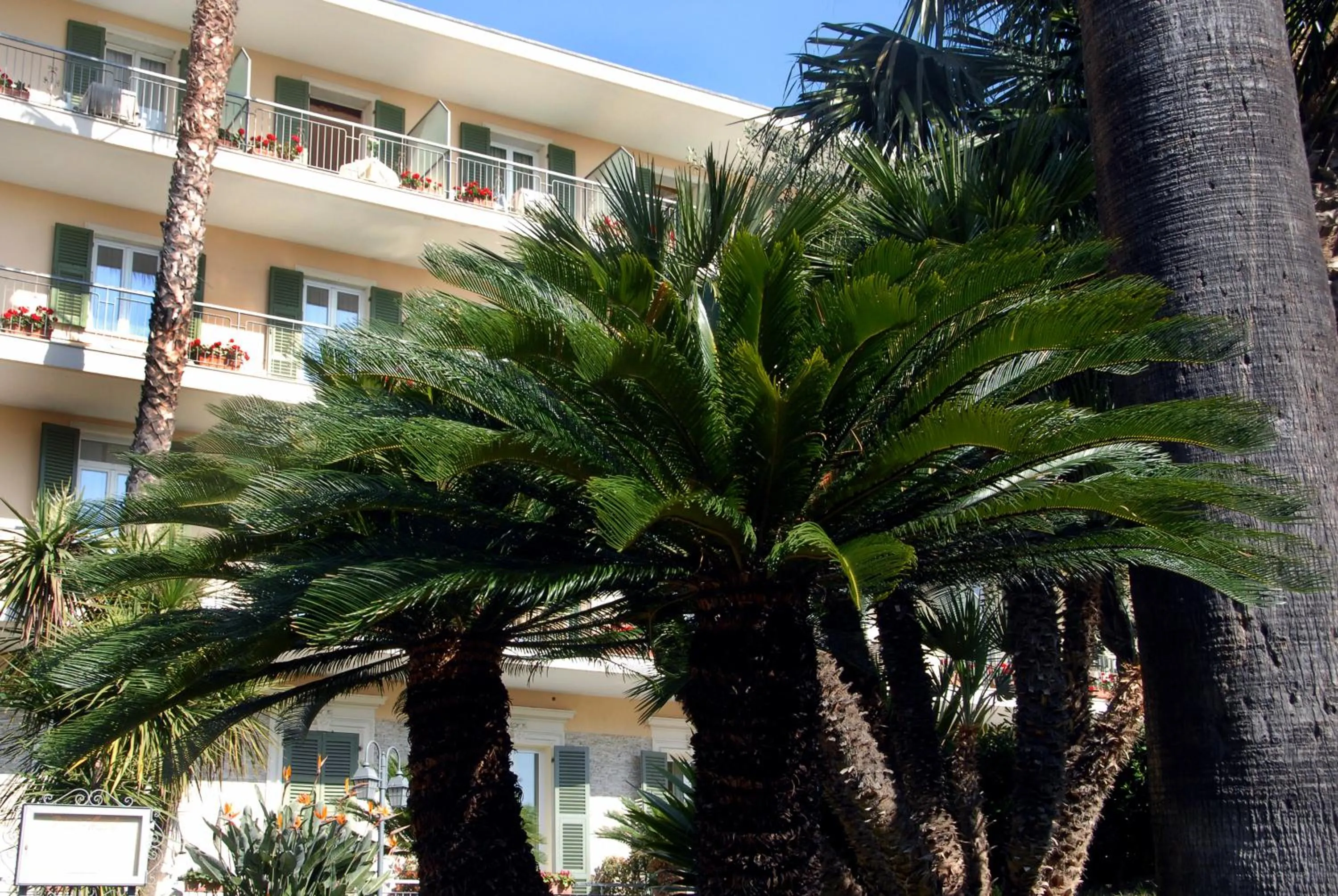 Facade/entrance in Hotel Paradiso